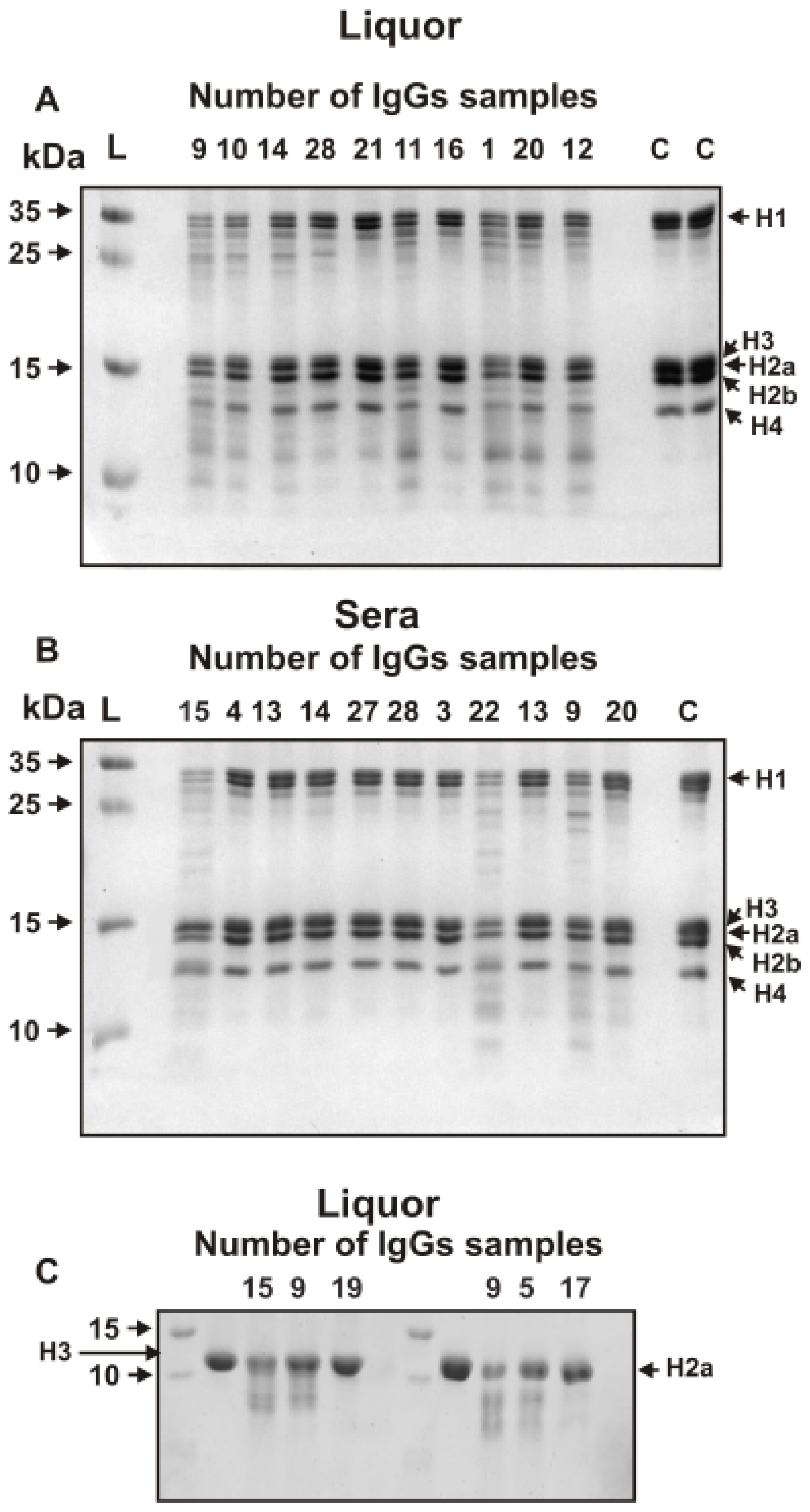 Biomolecules 10 00630 g002 Biomolecules 10 00630 g002