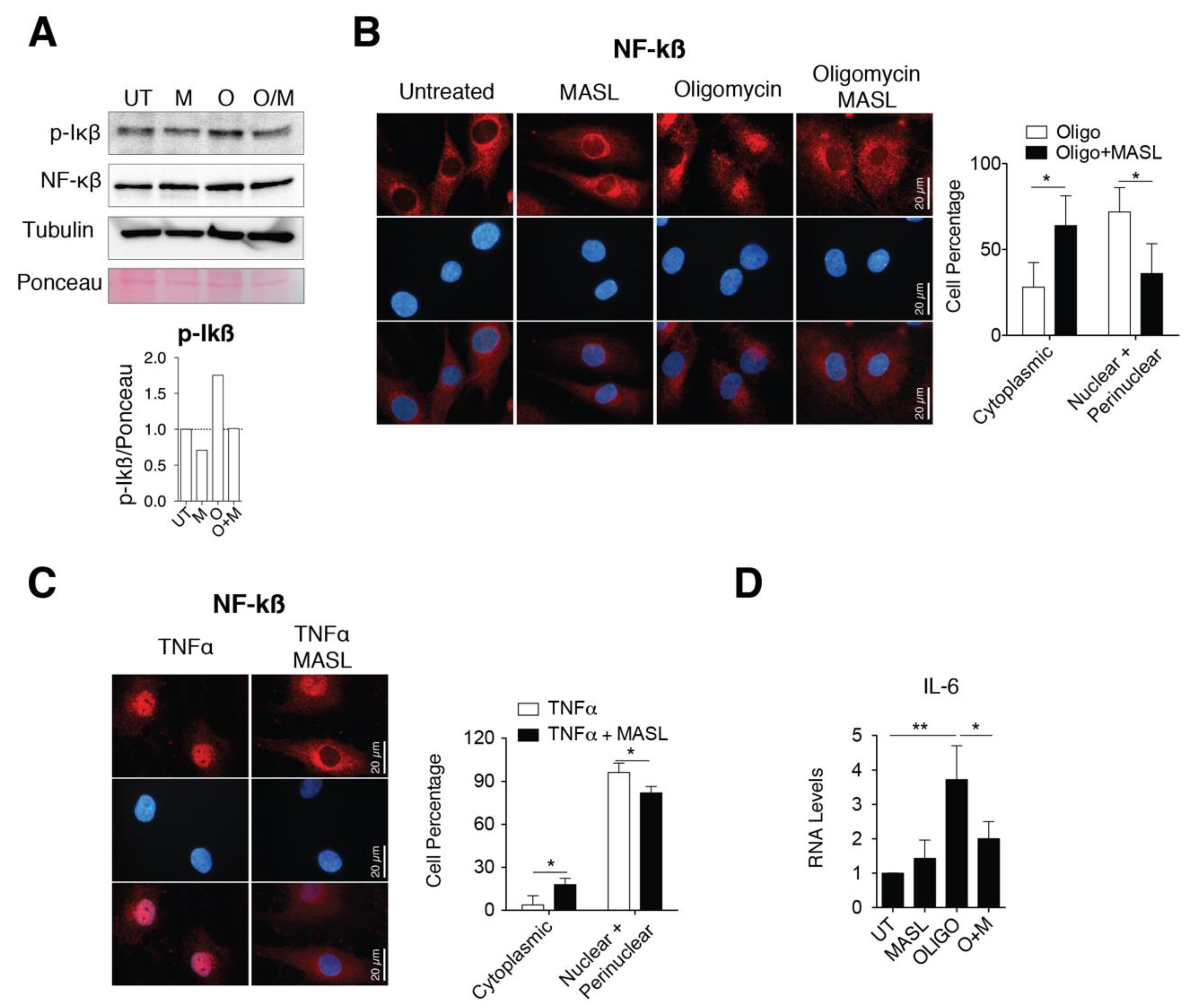 Biomolecules 10 00637 g004