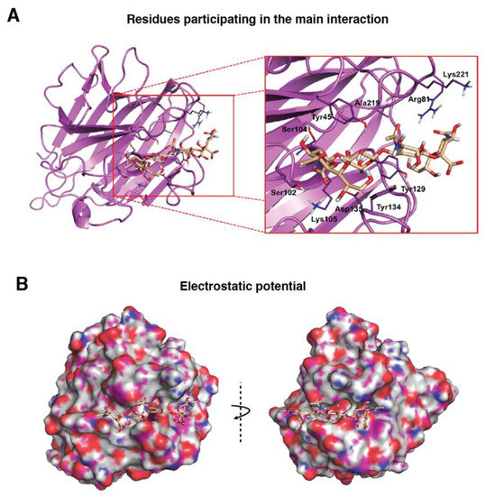 Biomolecules 10 00637 g0a2