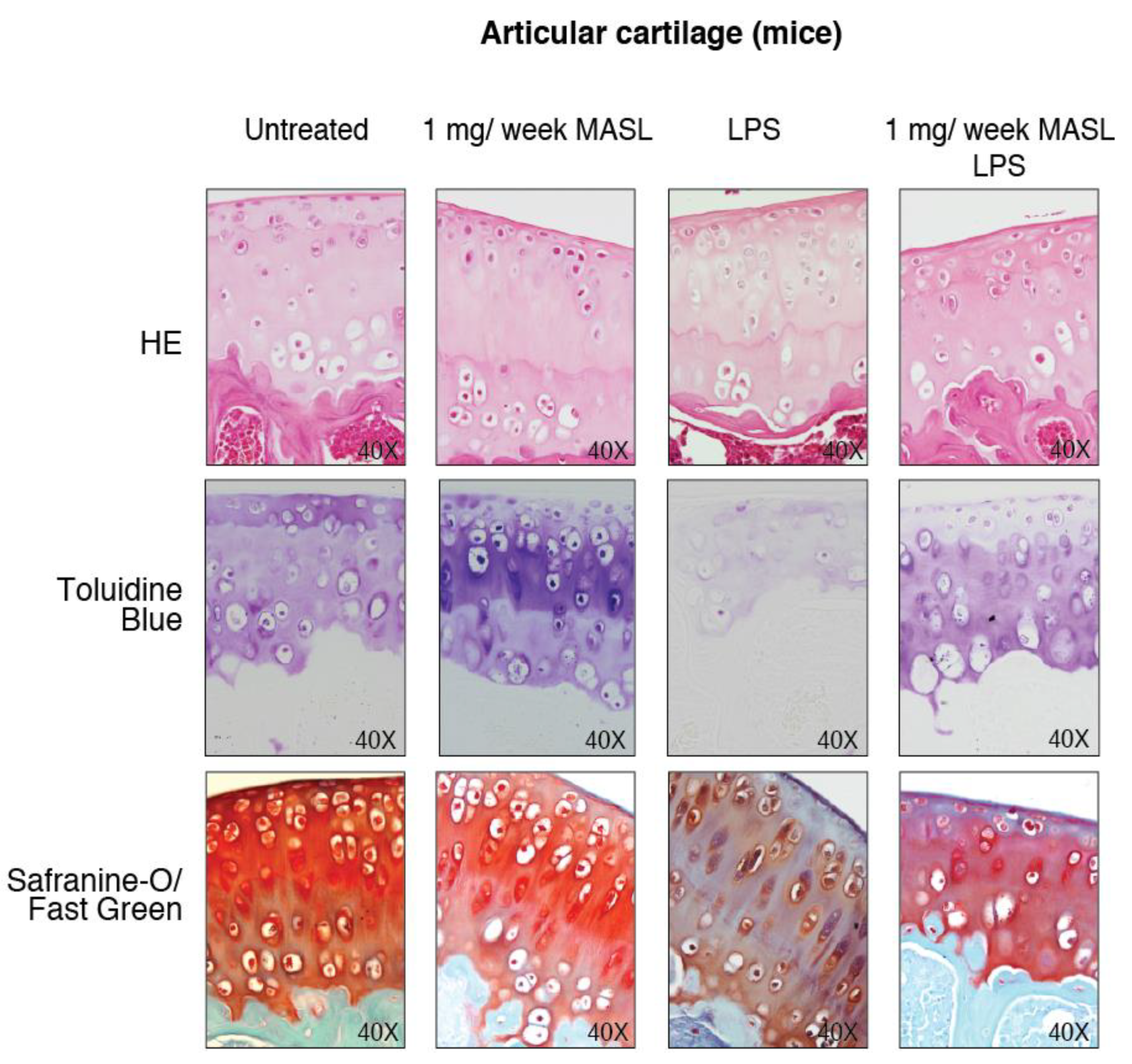 Biomolecules 10 00637 g0a3