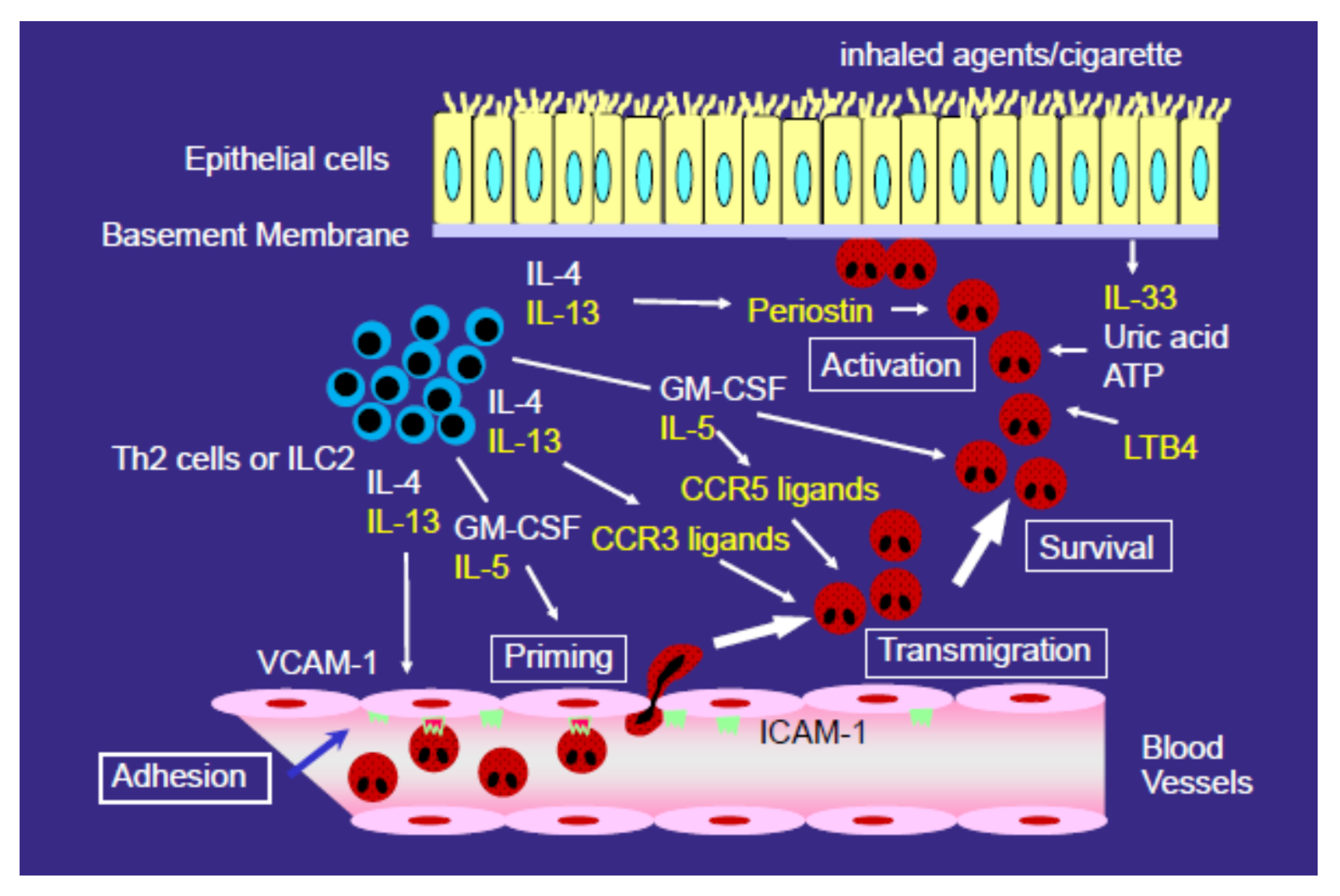 Biomolecules 10 00638 g002 Biomolecules 10 00638 g002