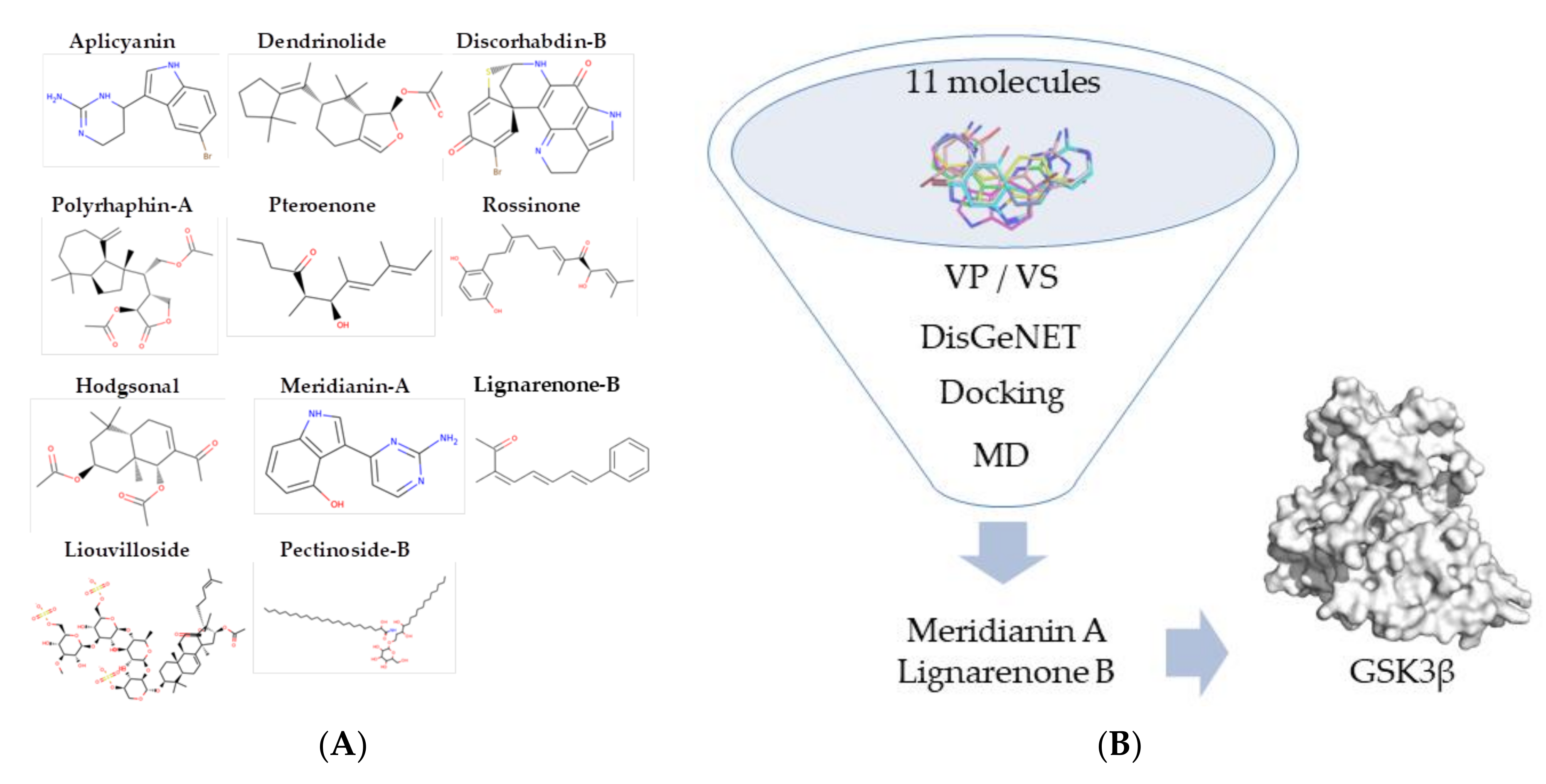 Biomolecules 10 00639 g001