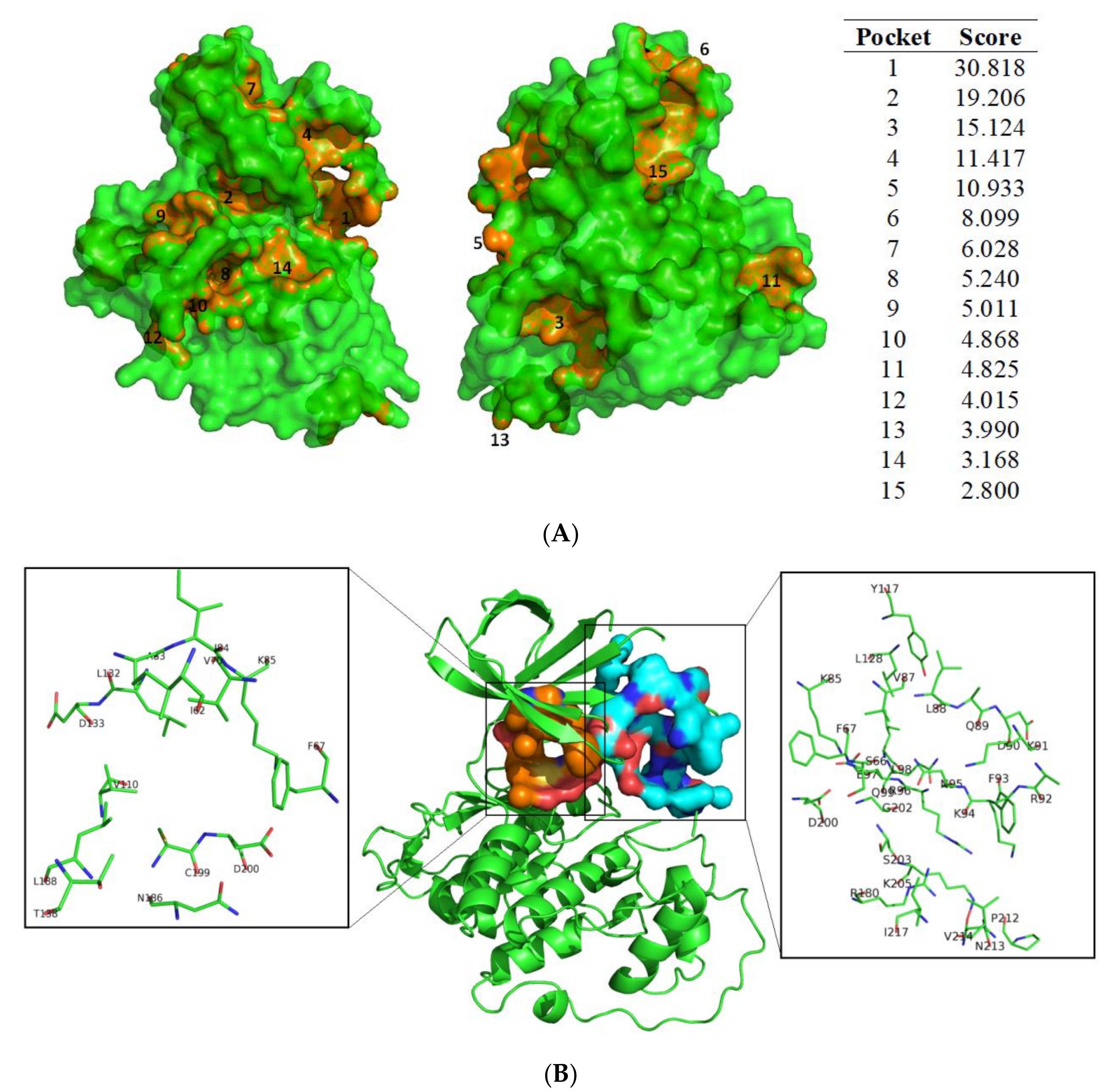 Biomolecules 10 00639 g003