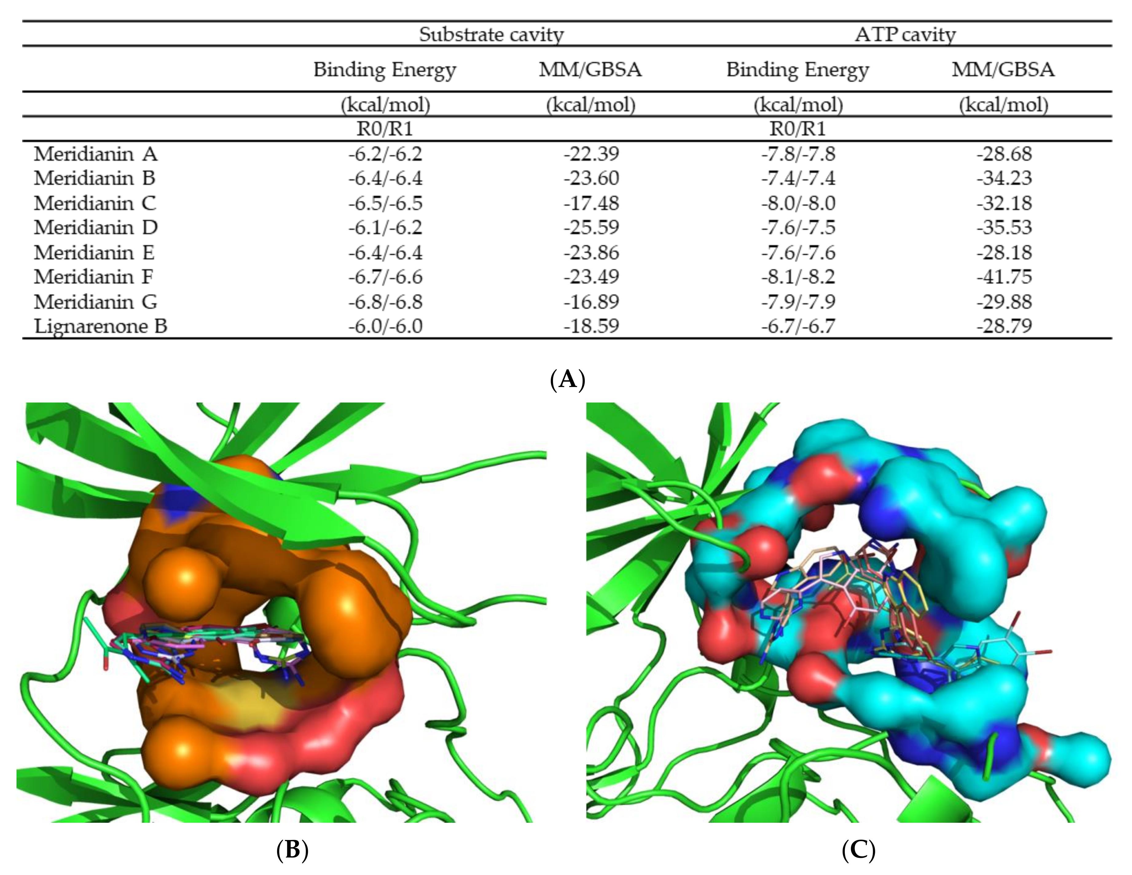 Biomolecules 10 00639 g004