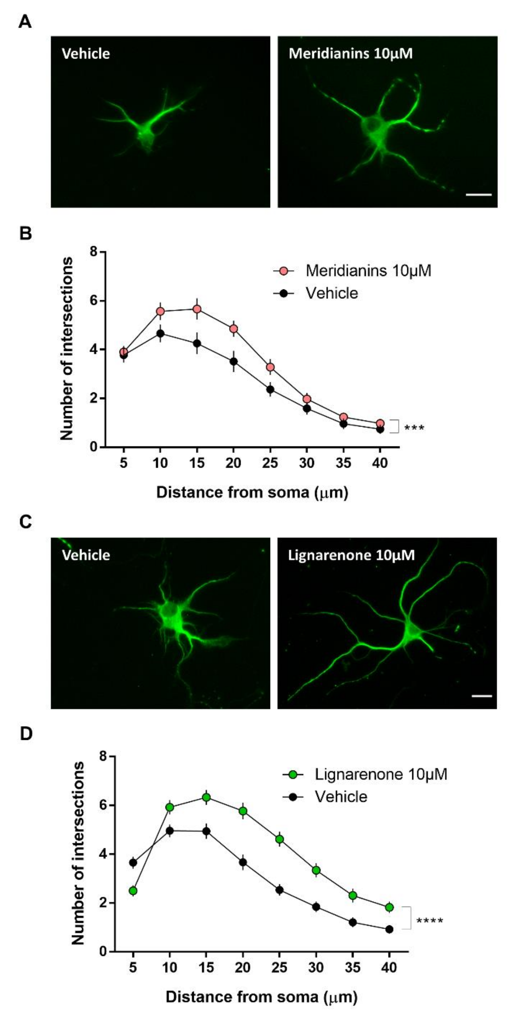 Biomolecules 10 00639 g007