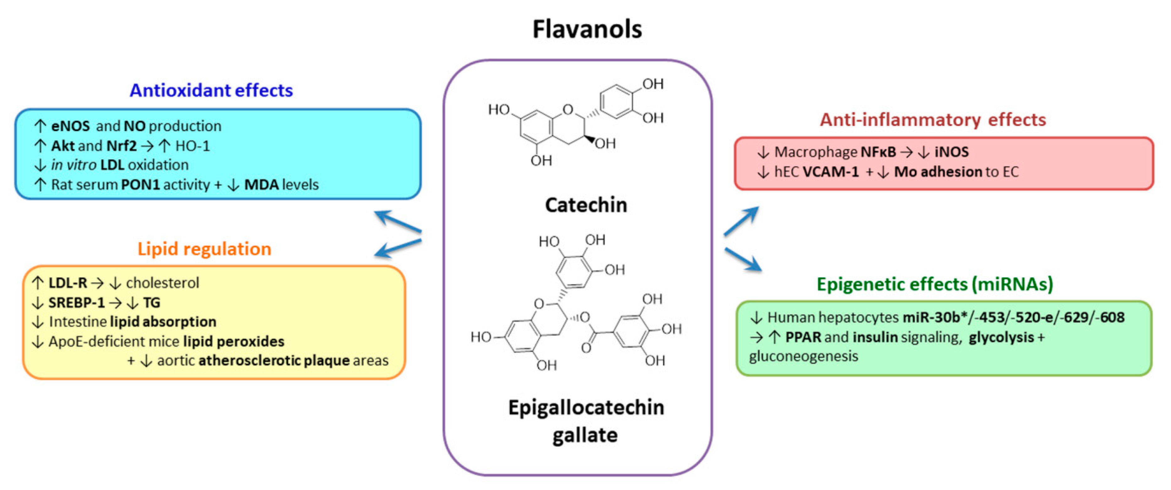 Biomolecules 10 00641 g006