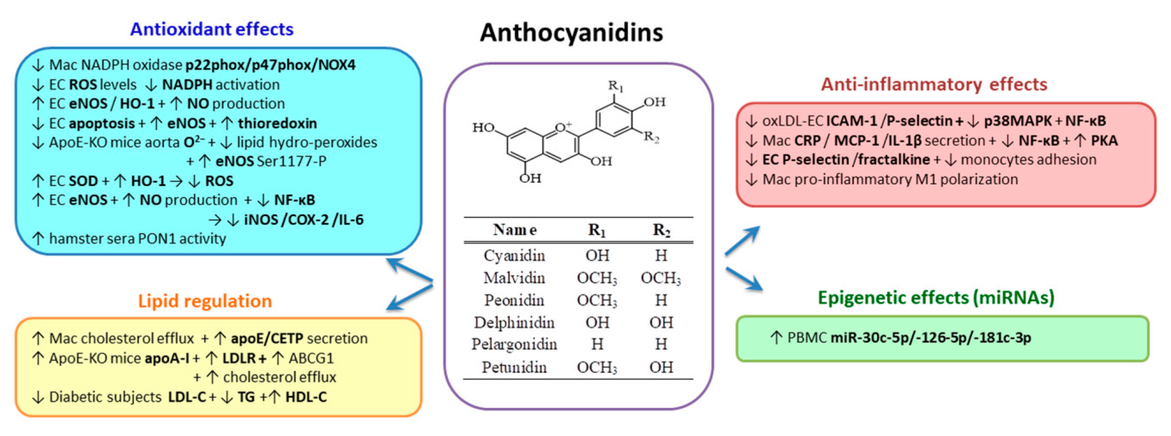 Biomolecules 10 00641 g008