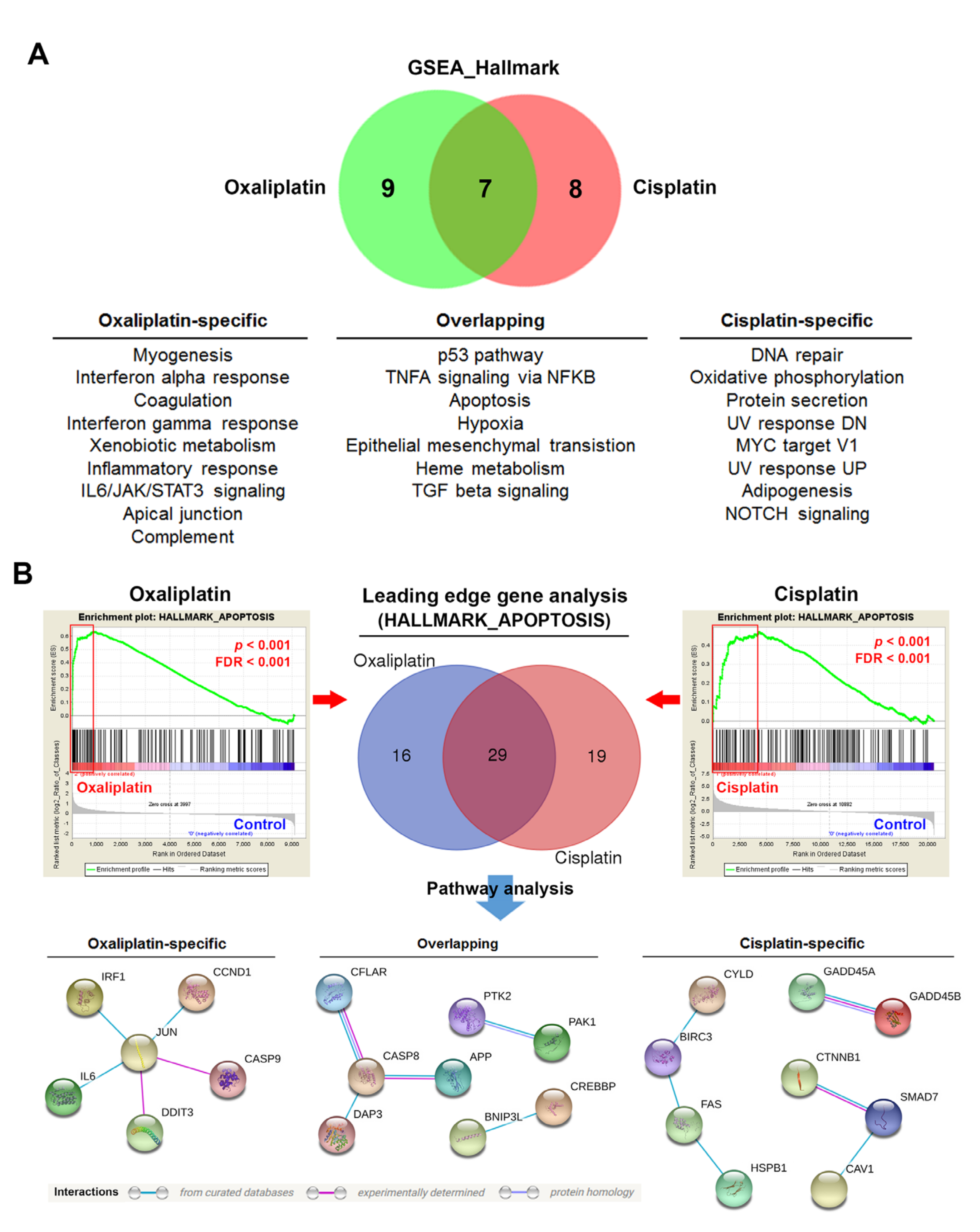Biomolecules 10 00643 g003