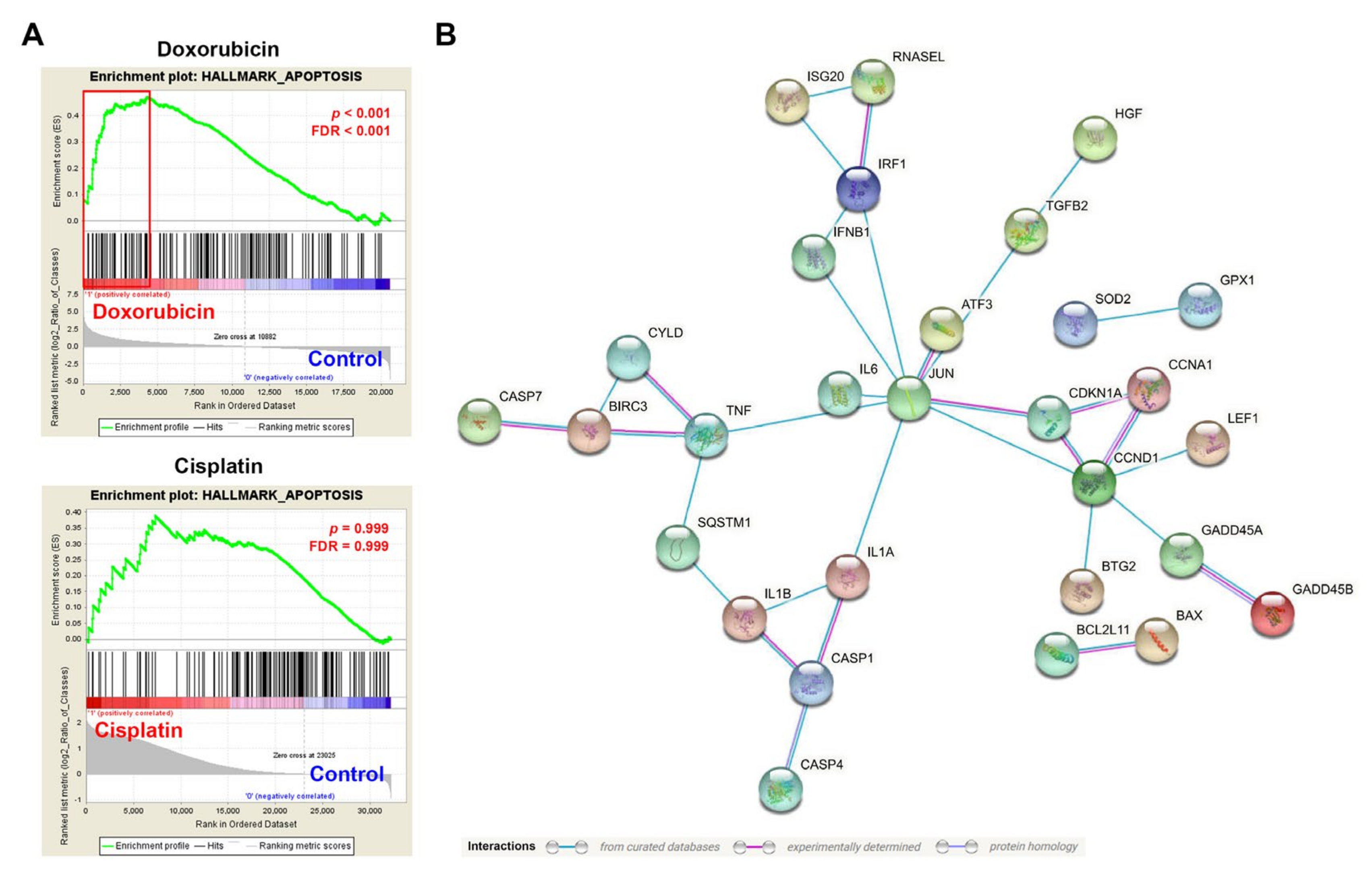 Biomolecules 10 00643 g004
