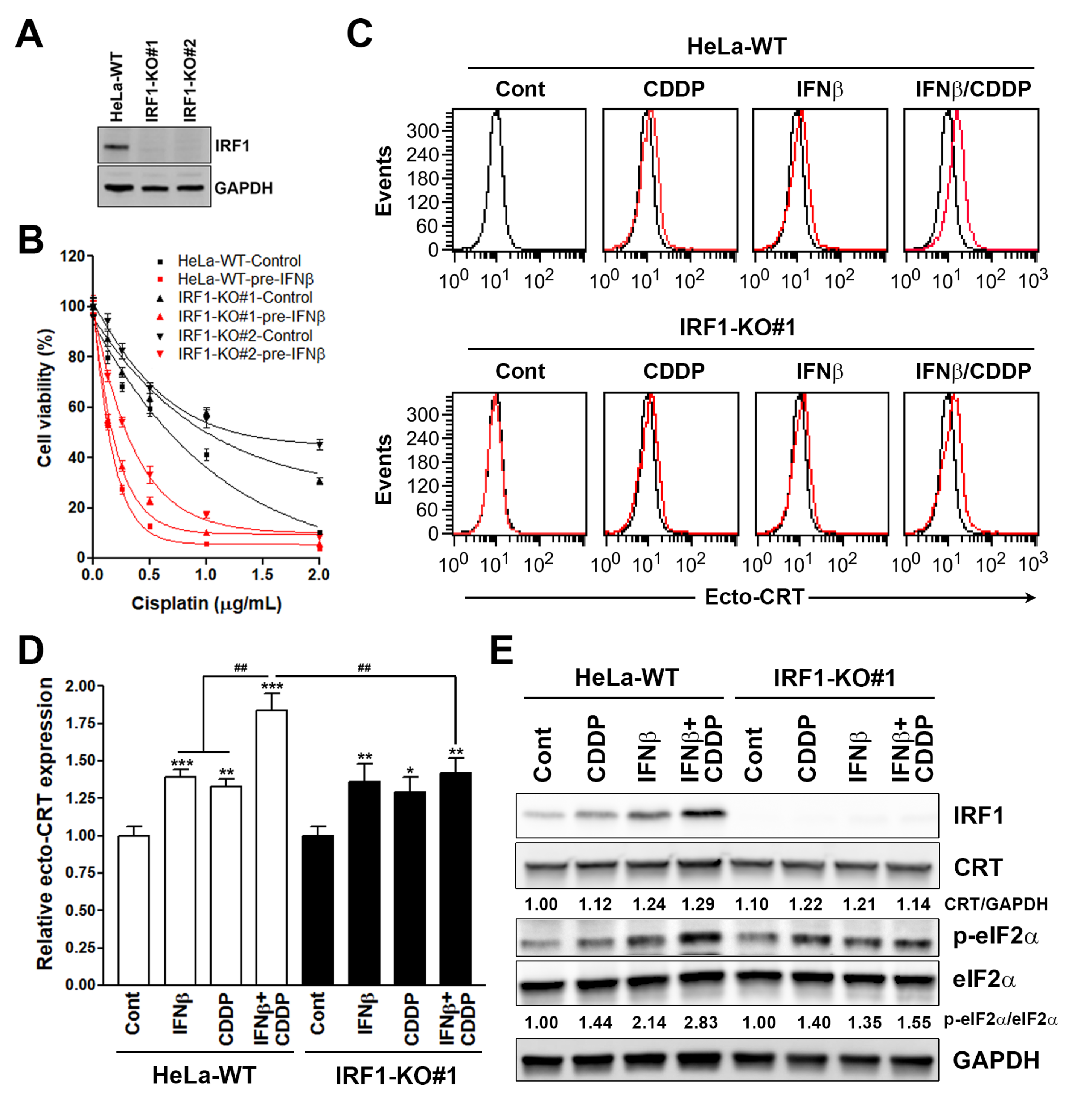 Biomolecules 10 00643 g006