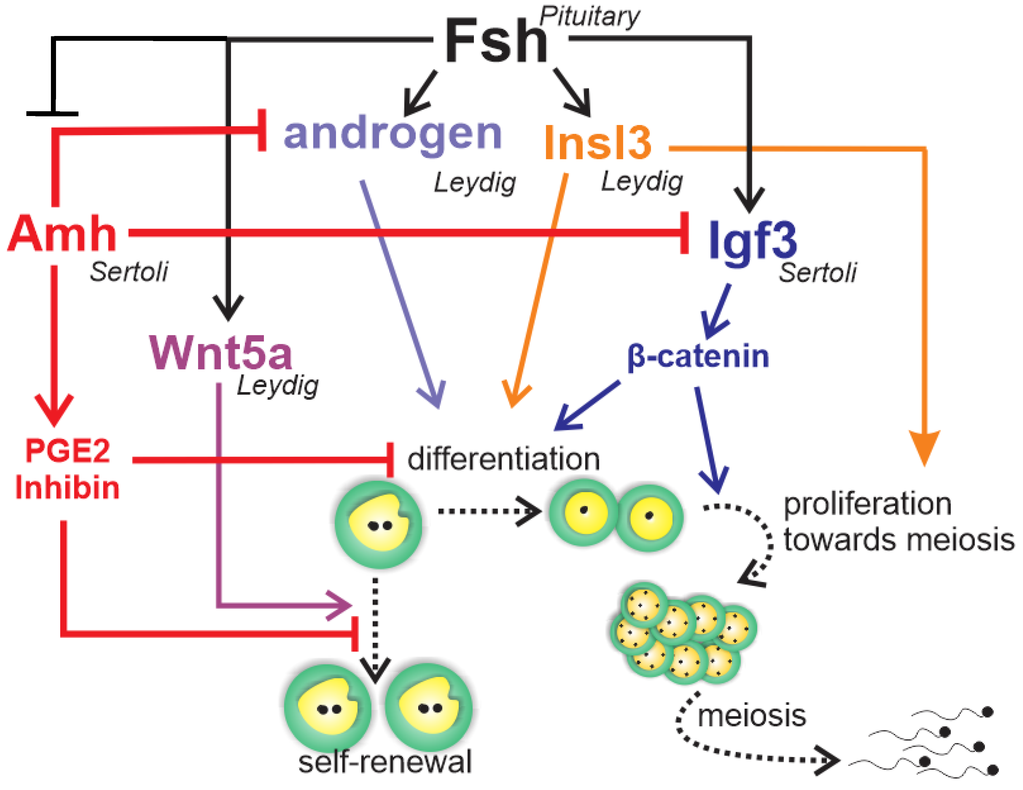 Biomolecules 10 00644 g006 Biomolecules 10 00644 g006