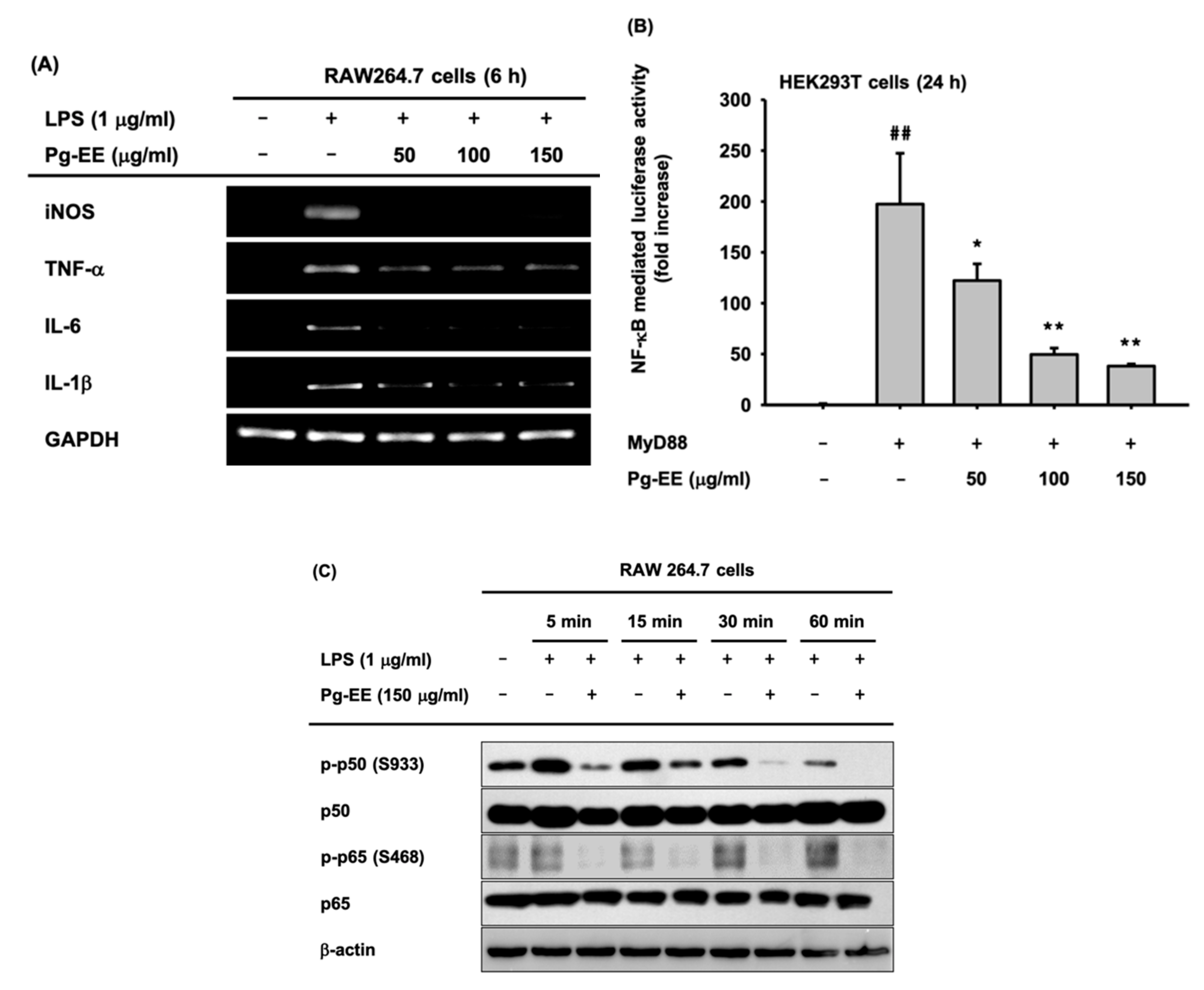 Biomolecules 10 00648 g002 Biomolecules 10 00648 g002