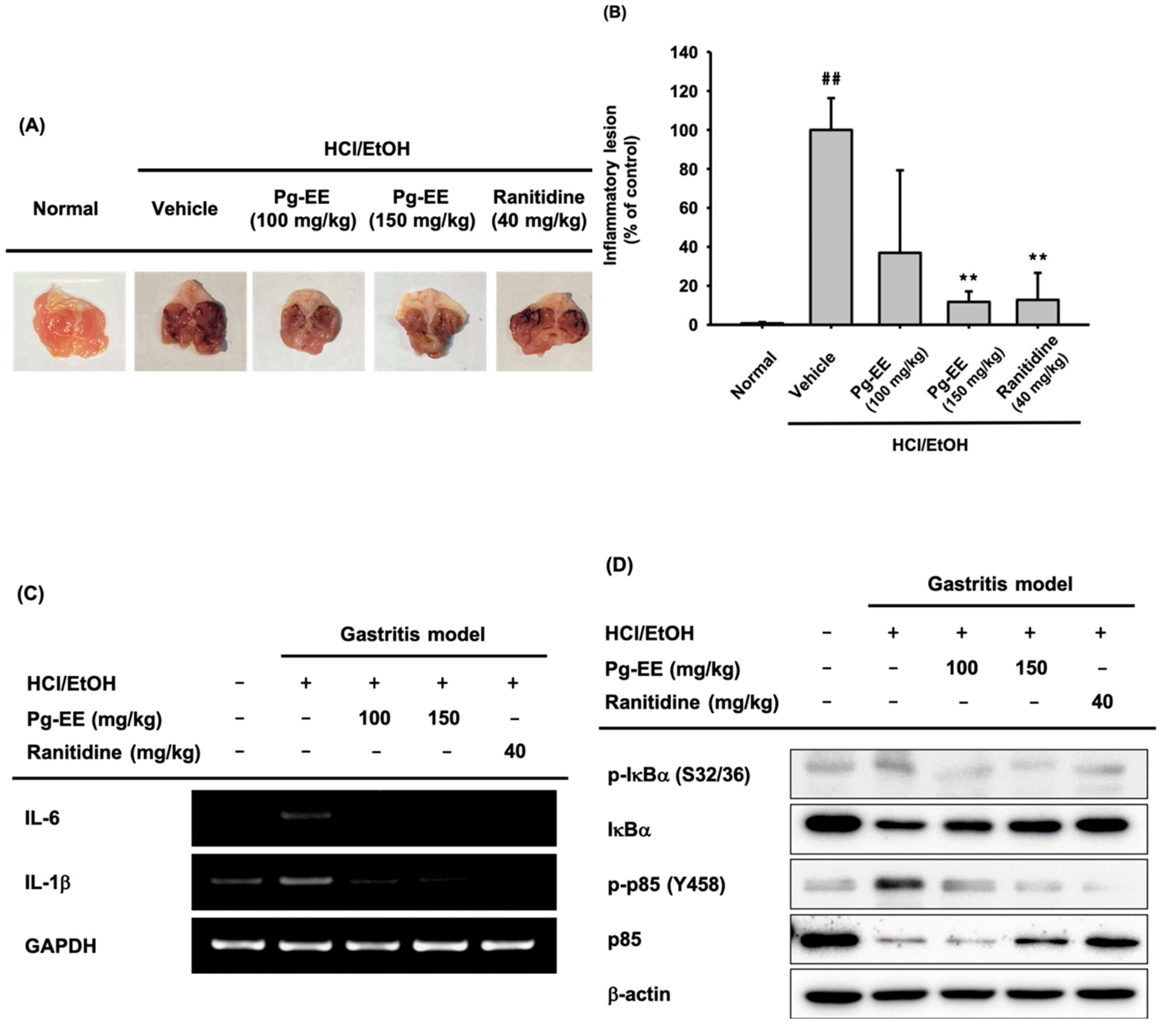 Biomolecules 10 00648 g005 Biomolecules 10 00648 g005