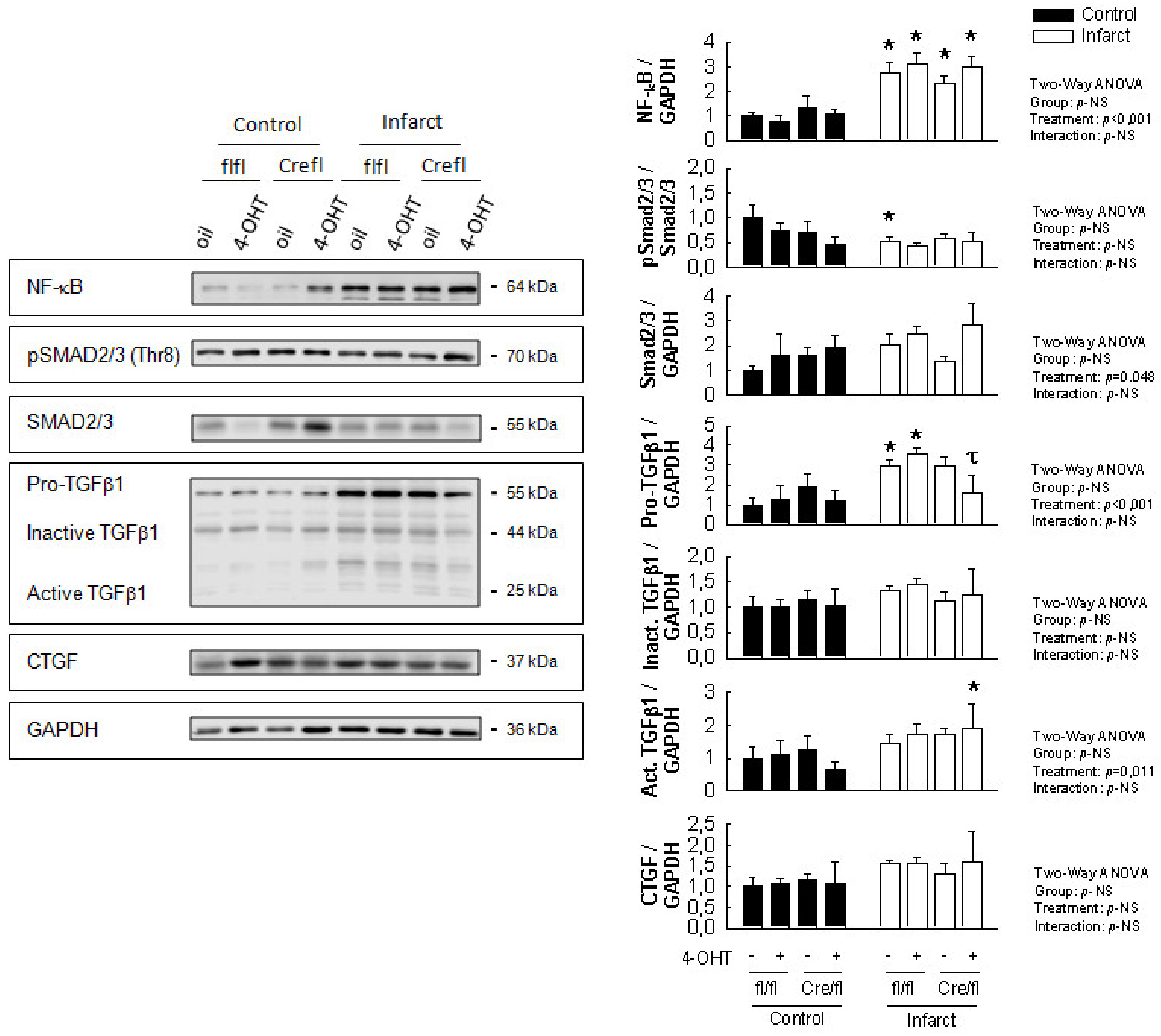 Biomolecules 10 00651 g003 Biomolecules 10 00651 g003