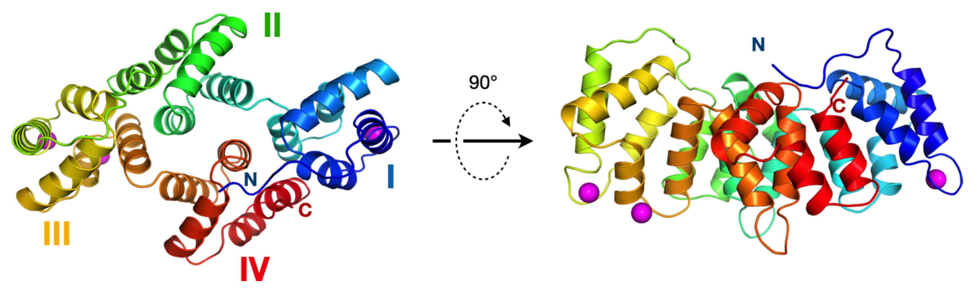 Biomolecules 10 00660 g002