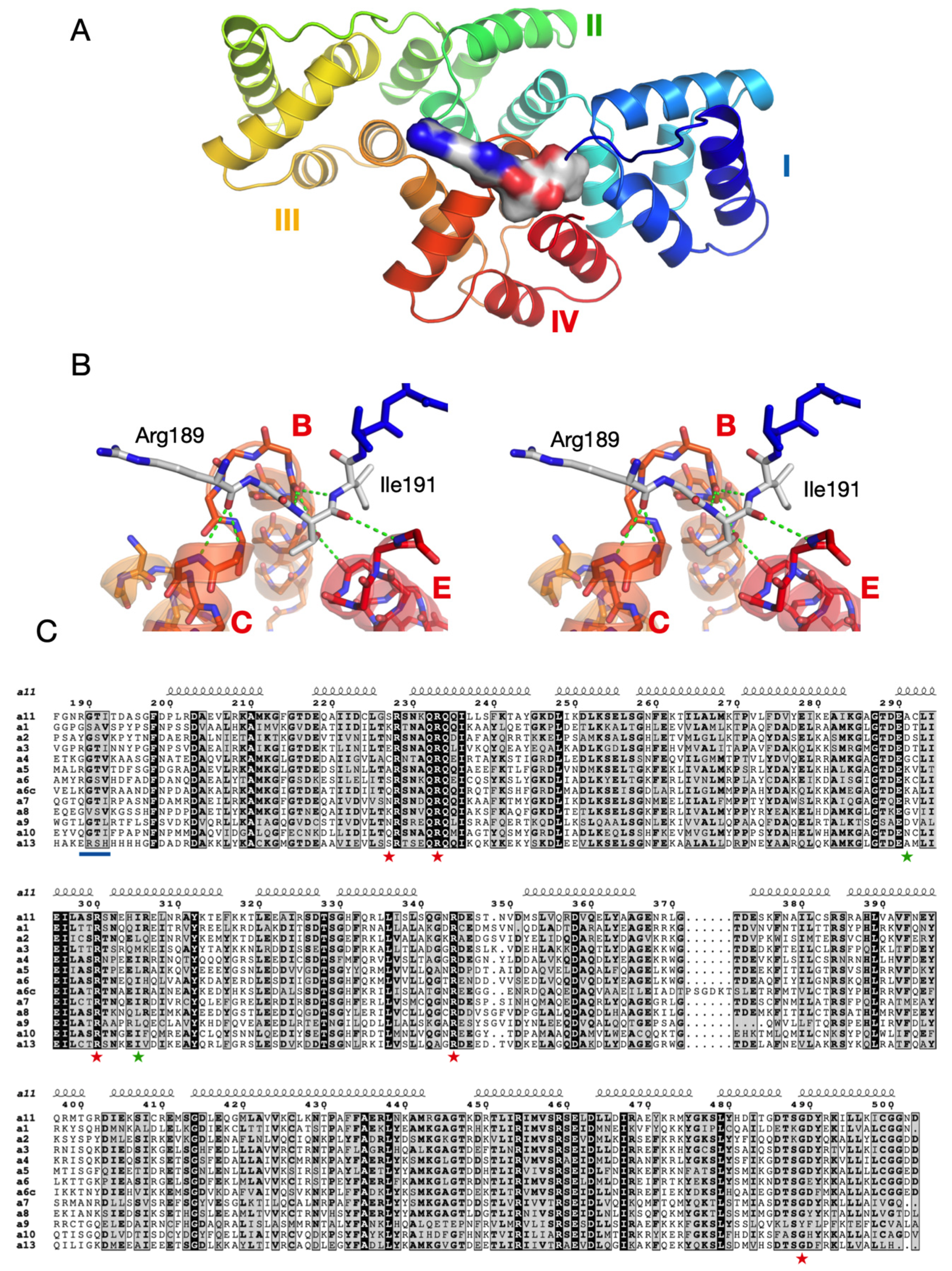 Biomolecules 10 00660 g003