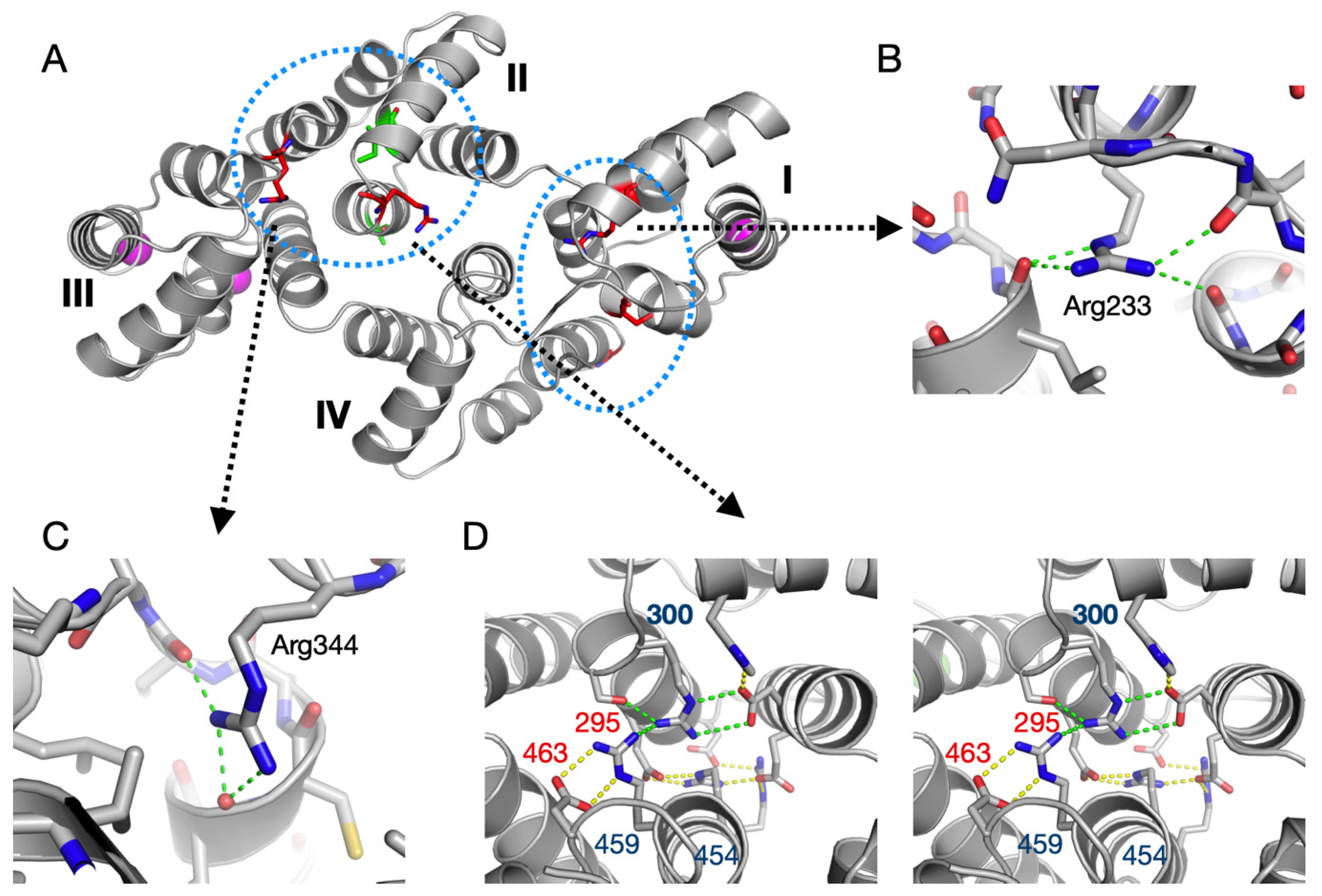Biomolecules 10 00660 g006