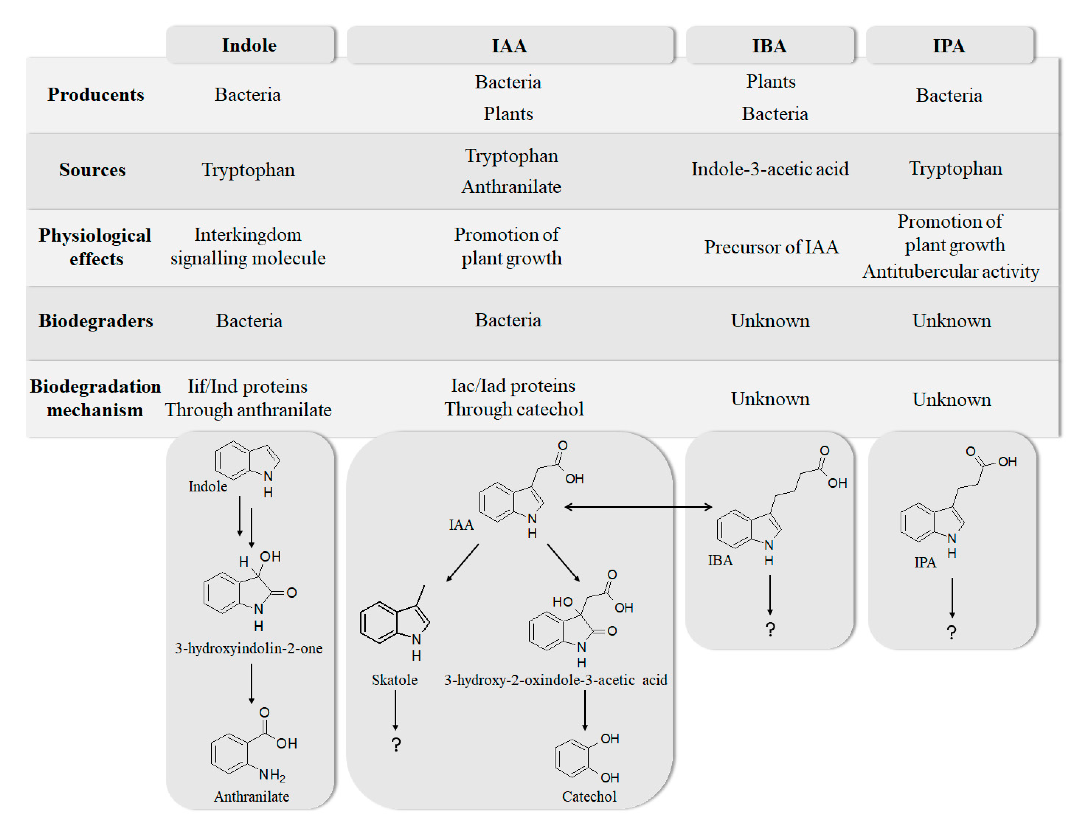 Biomolecules 10 00663 g001