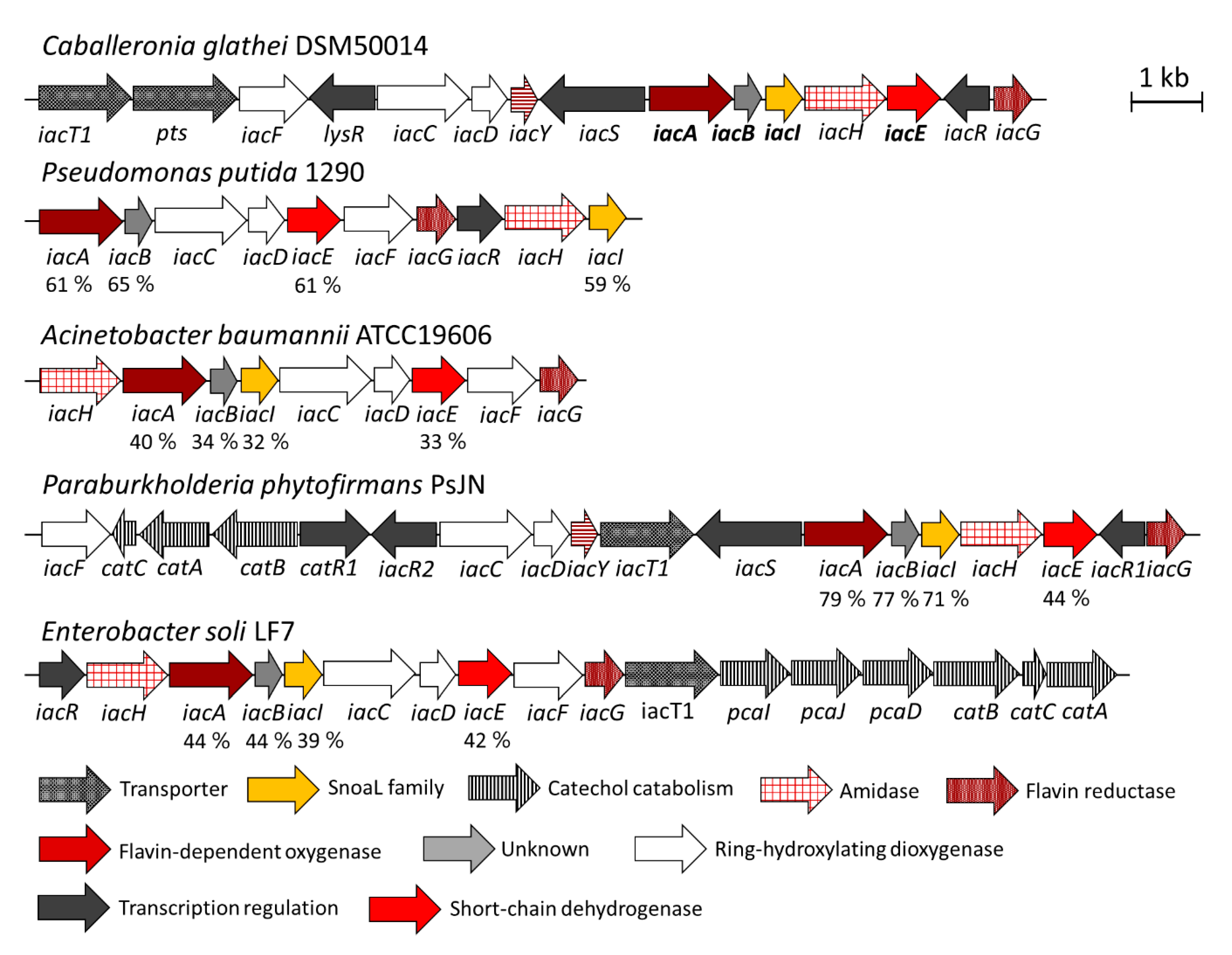 Biomolecules 10 00663 g002