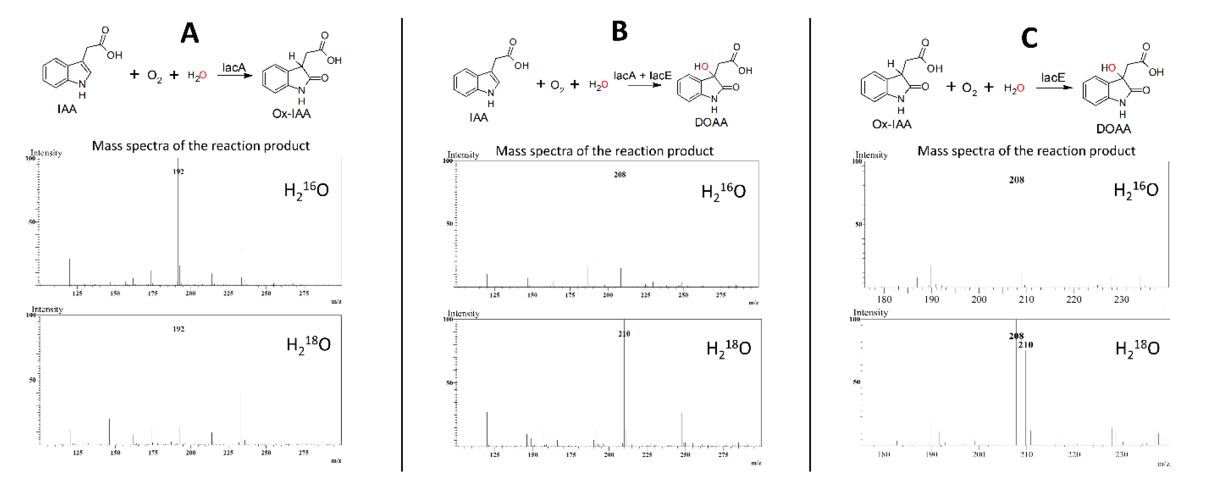 Biomolecules 10 00663 g006