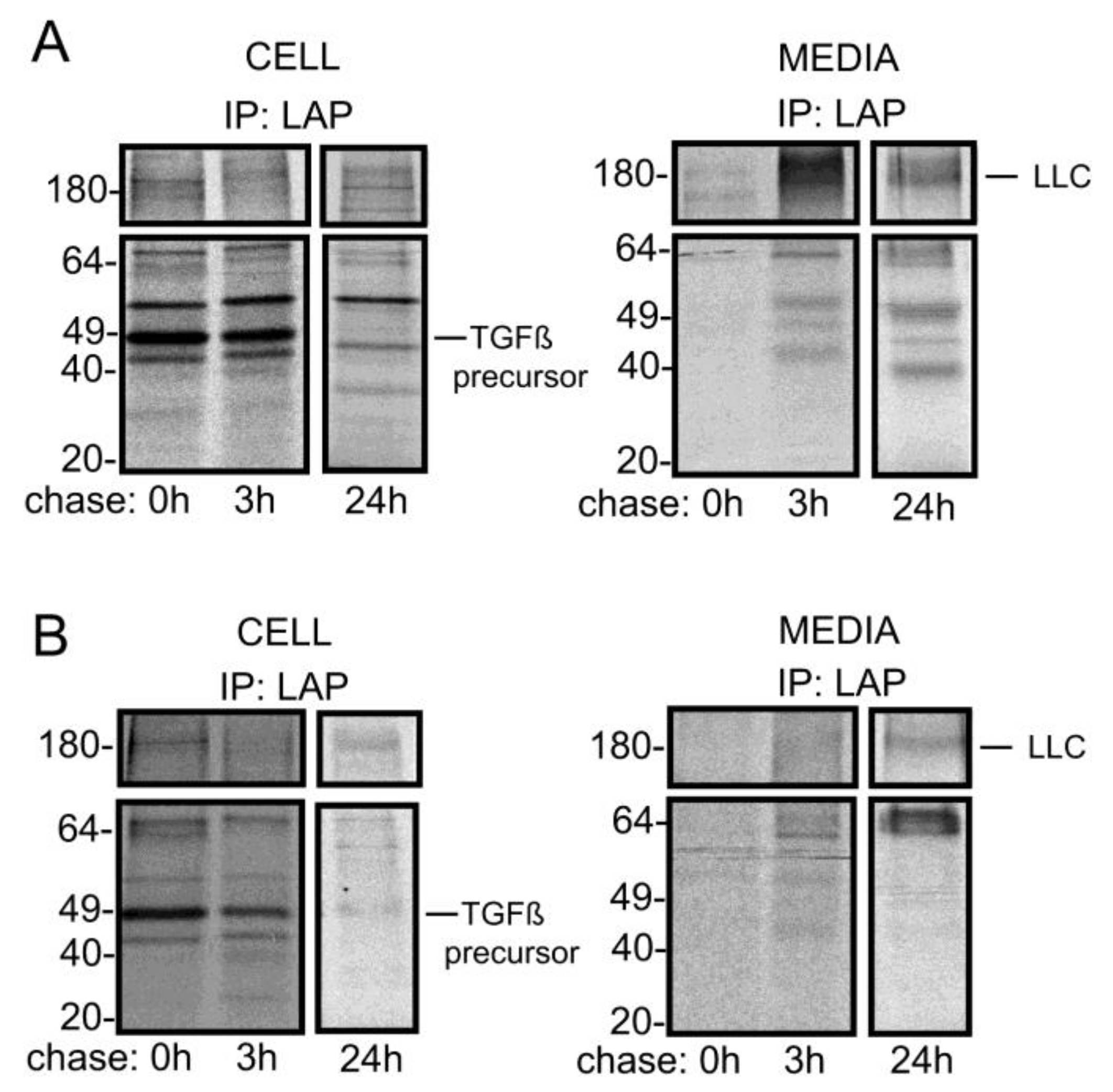 Biomolecules 10 00670 g002 Biomolecules 10 00670 g002