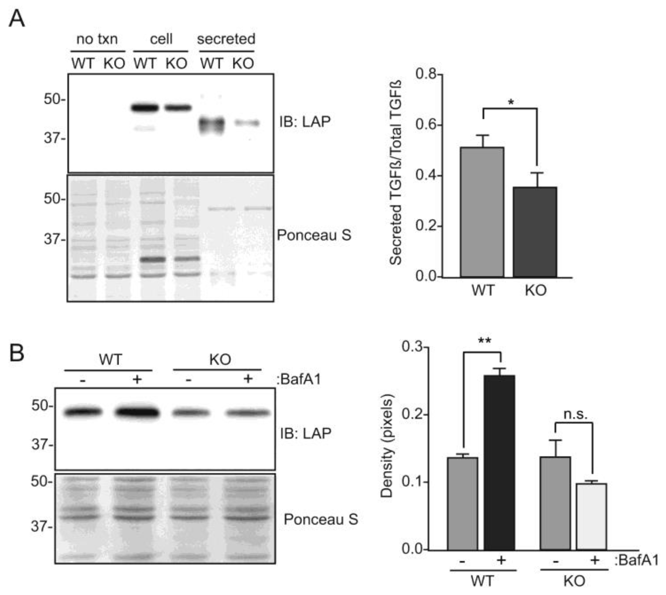 Biomolecules 10 00670 g007 Biomolecules 10 00670 g007