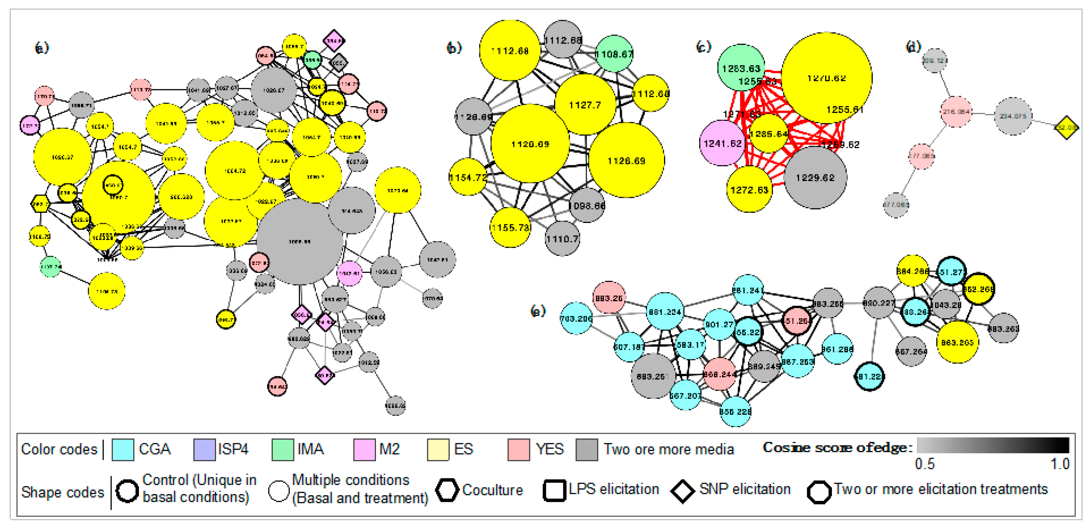 Biomolecules 10 00673 g004