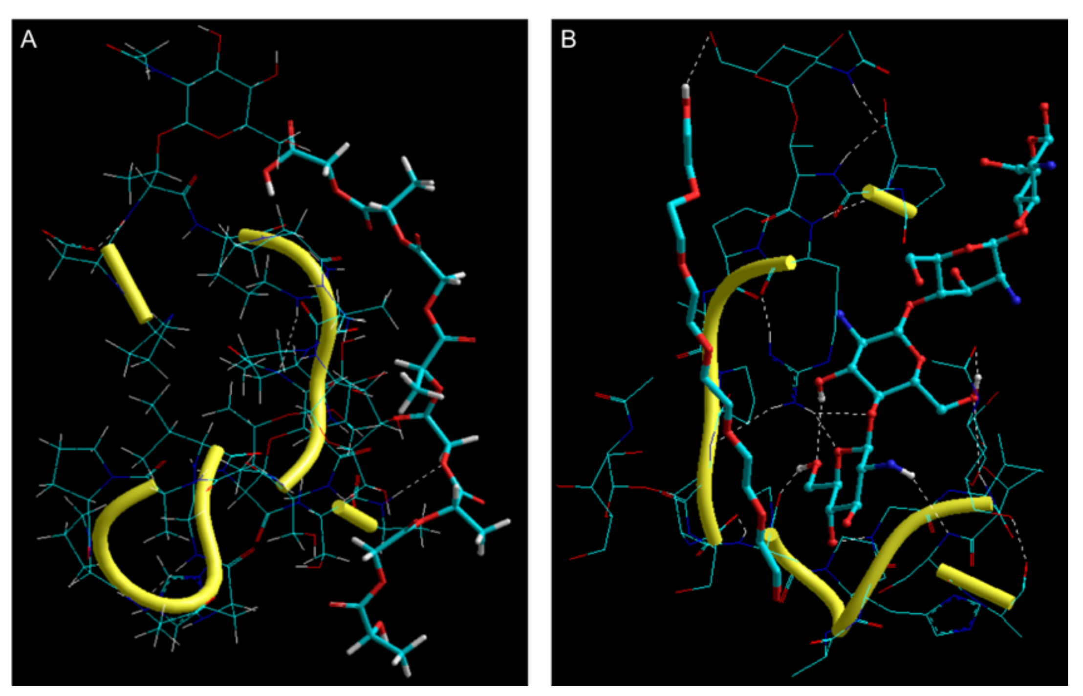 Biomolecules 10 00675 g006