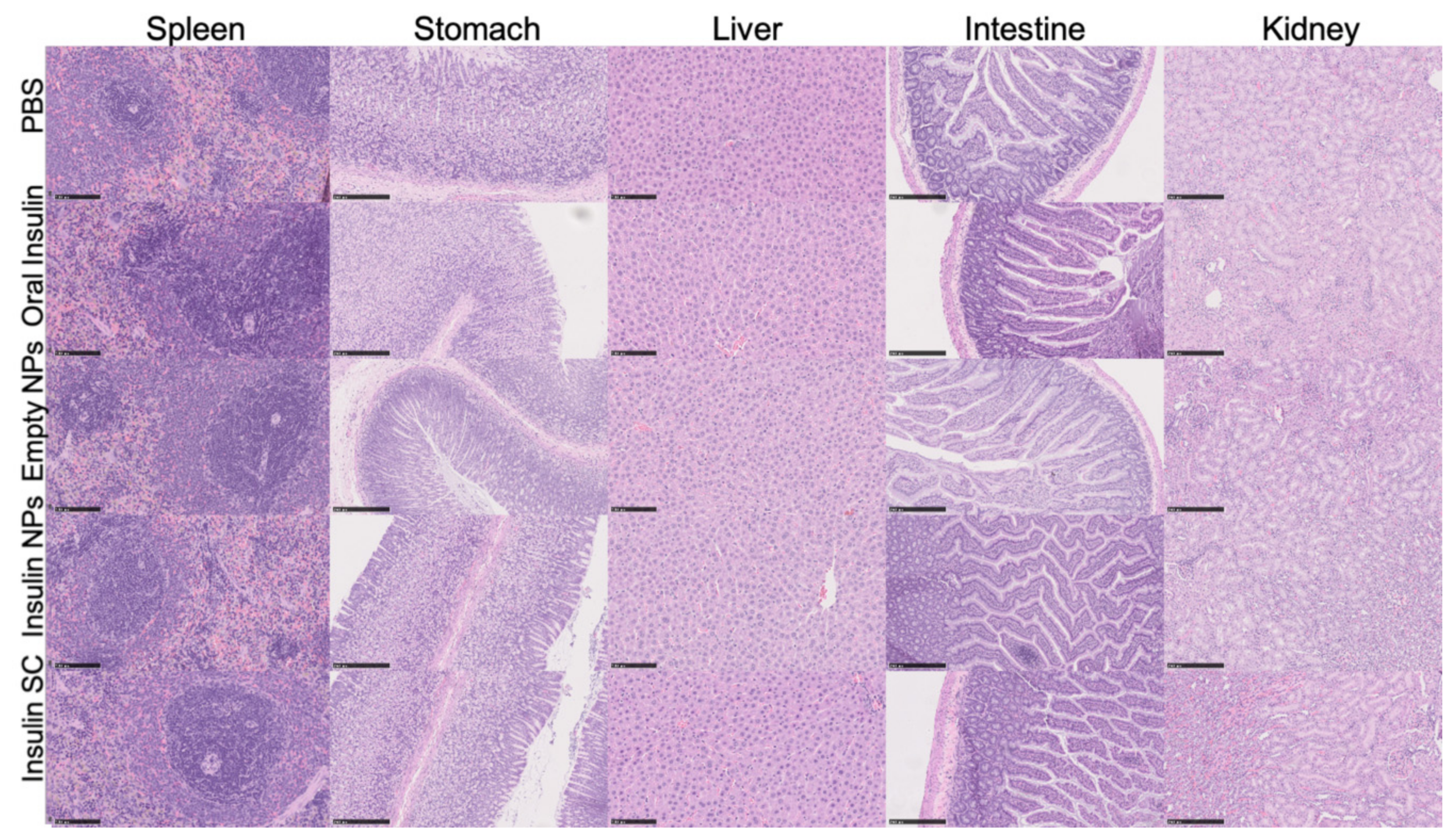 Biomolecules 10 00675 g008