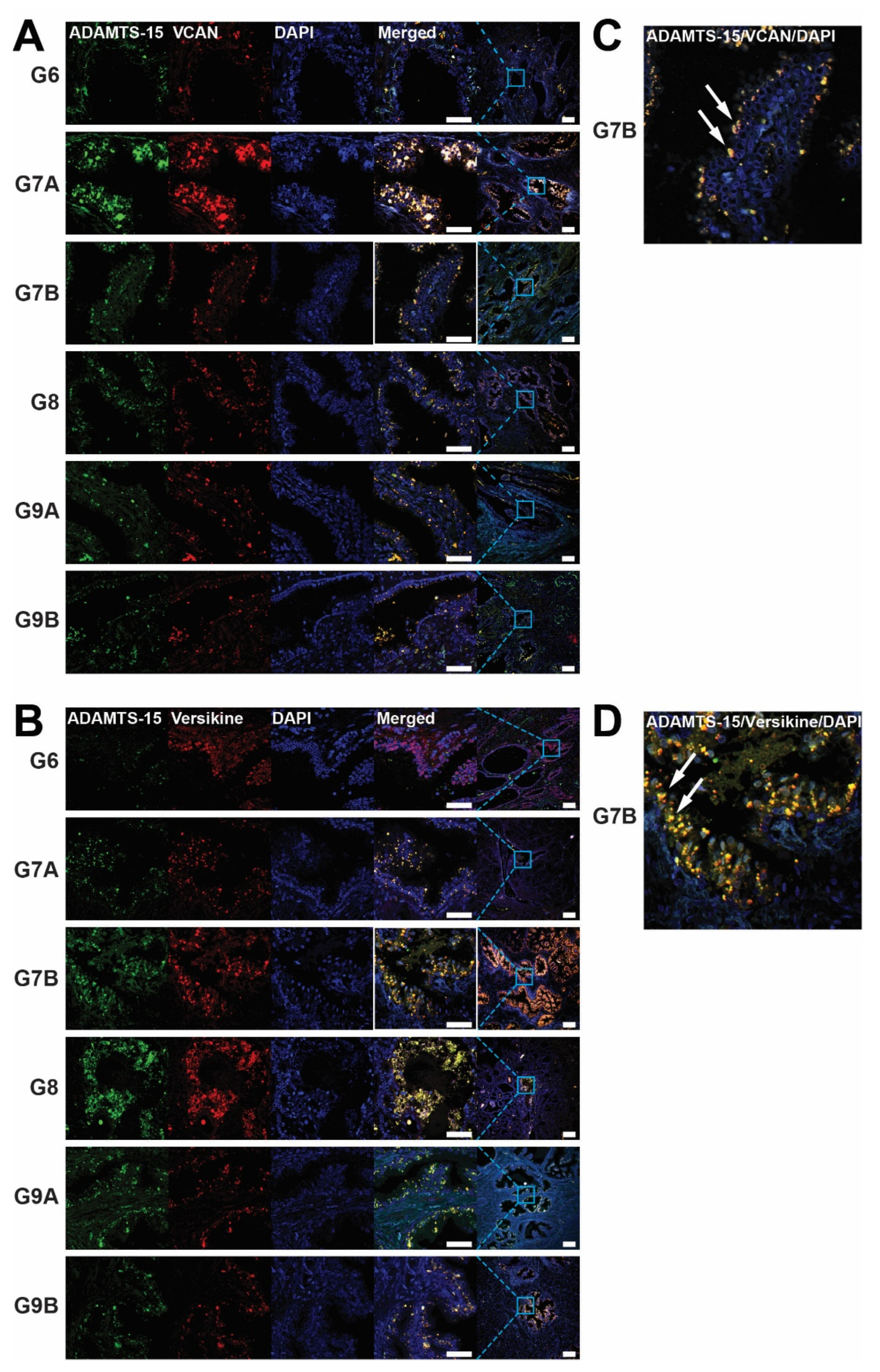 Biomolecules 10 00682 g001 Biomolecules 10 00682 g001