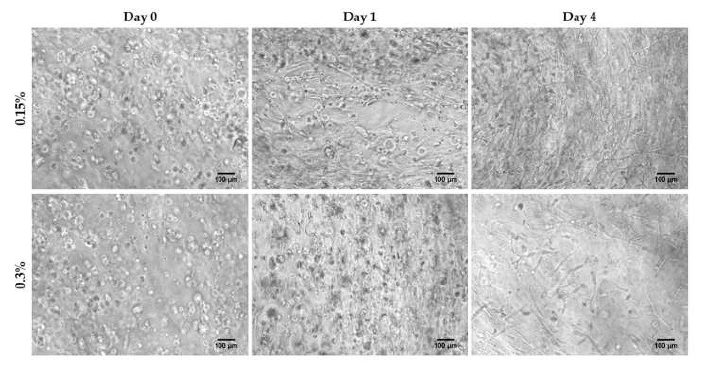 Biomolecules 10 00684 g001