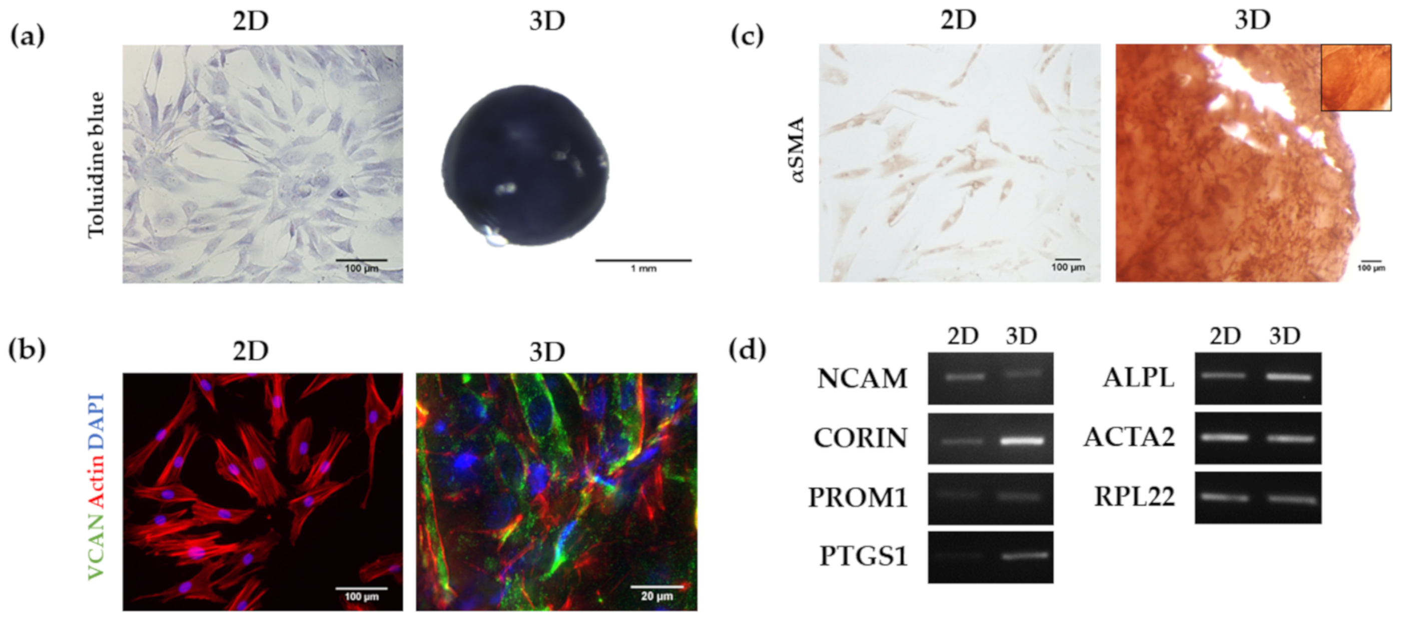 Biomolecules 10 00684 g006