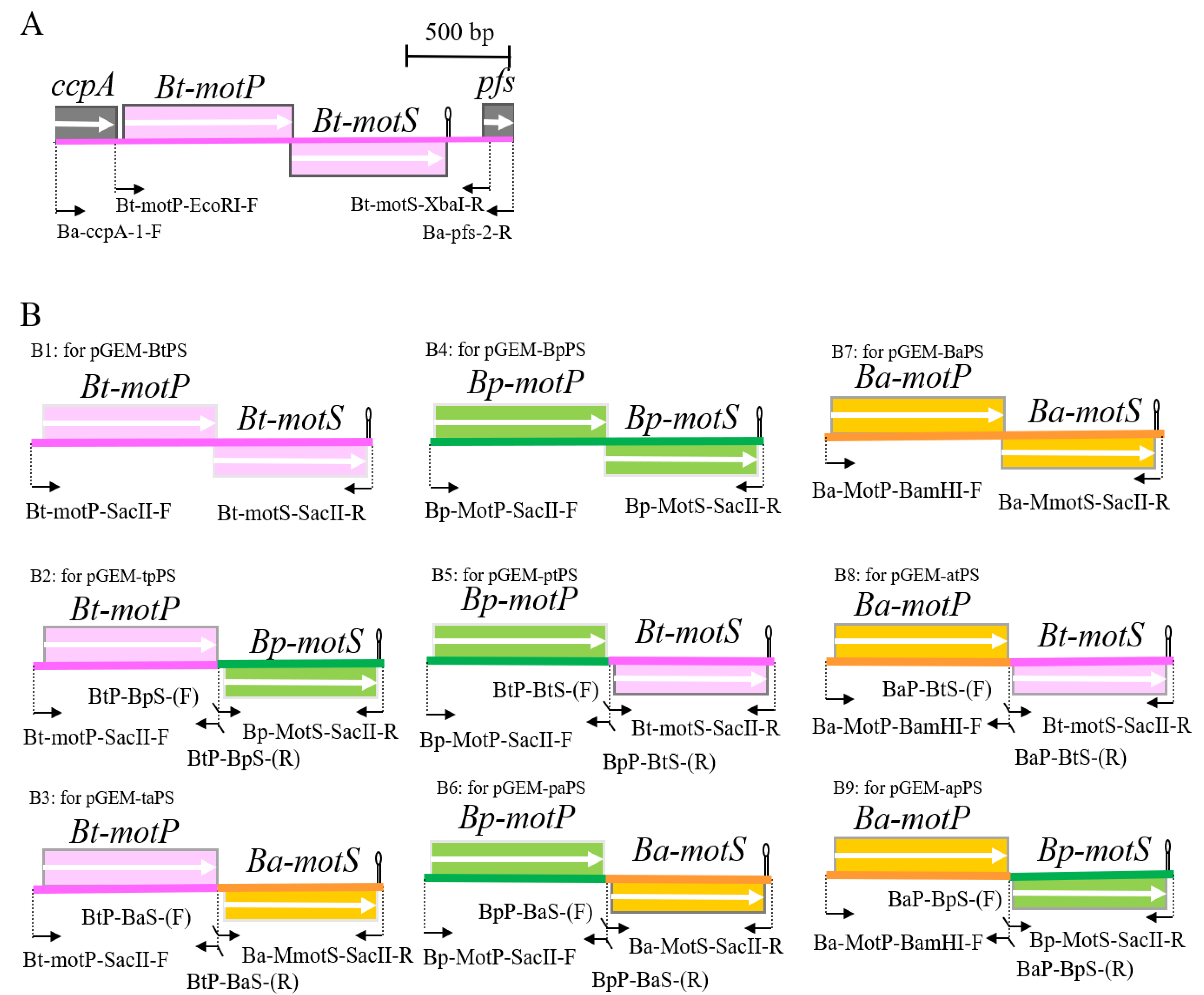 Biomolecules 10 00691 g001 Biomolecules 10 00691 g001