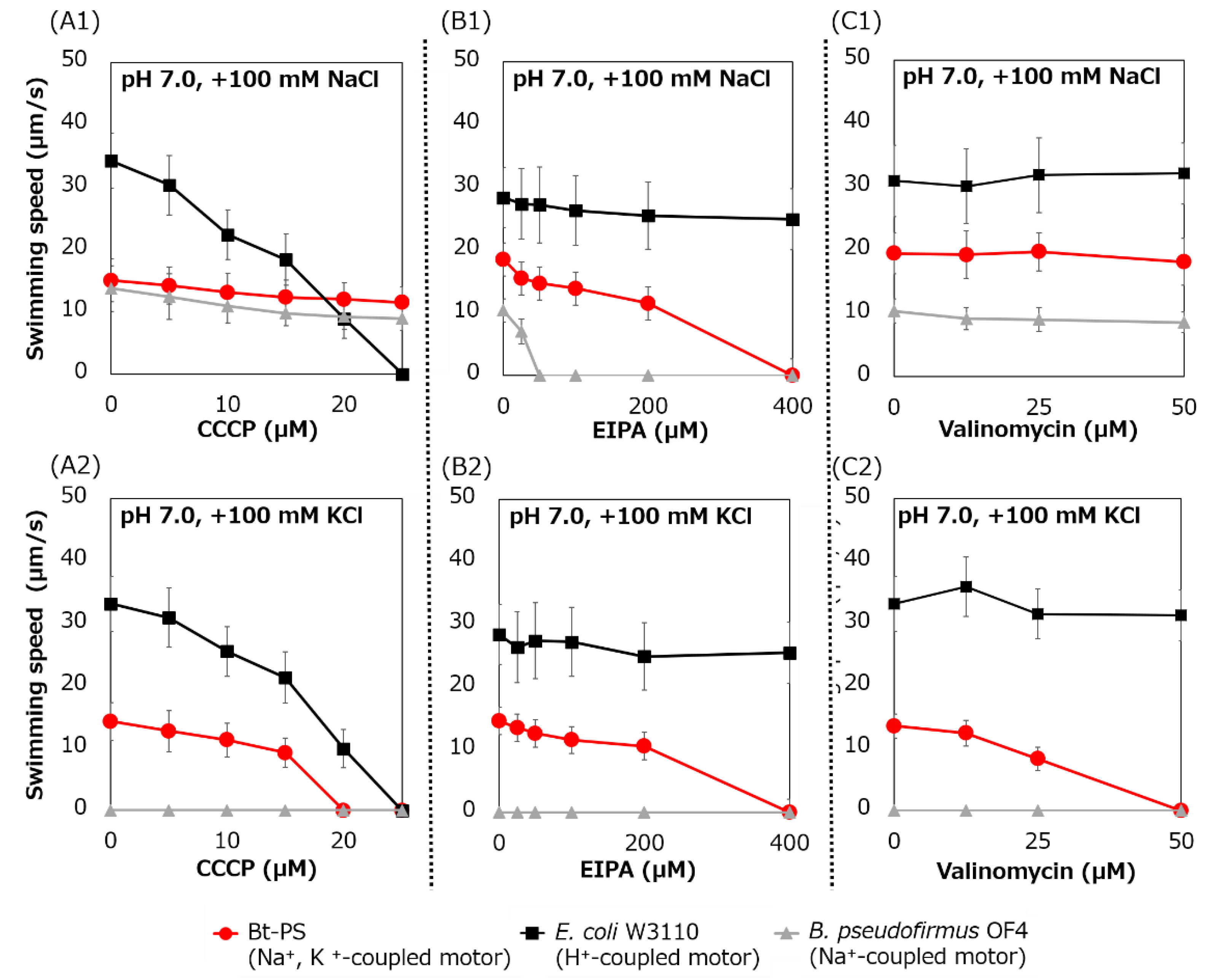 Biomolecules 10 00691 g009 Biomolecules 10 00691 g009