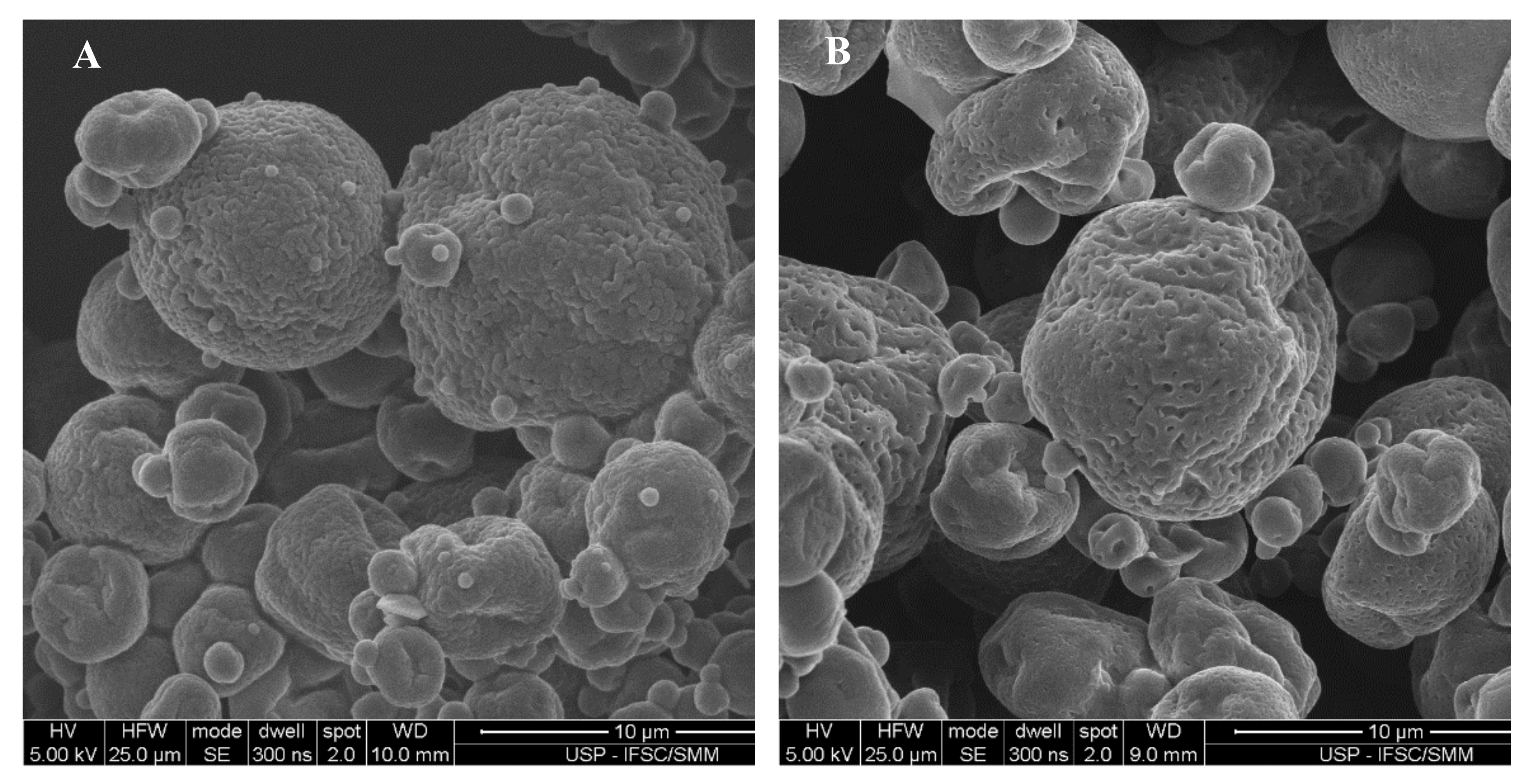 Biomolecules 10 00693 g003 Biomolecules 10 00693 g003