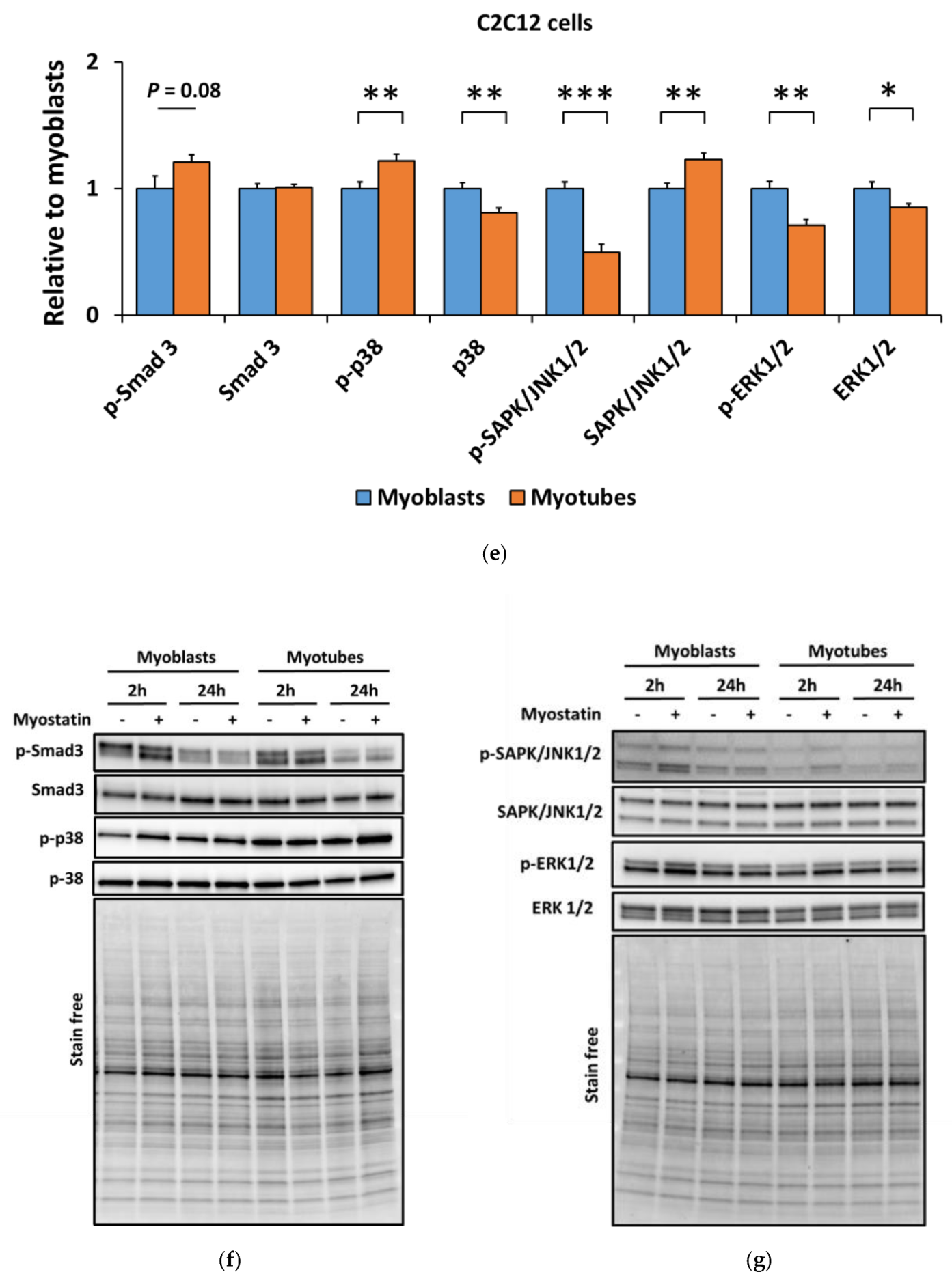 Biomolecules 10 00695 g001b