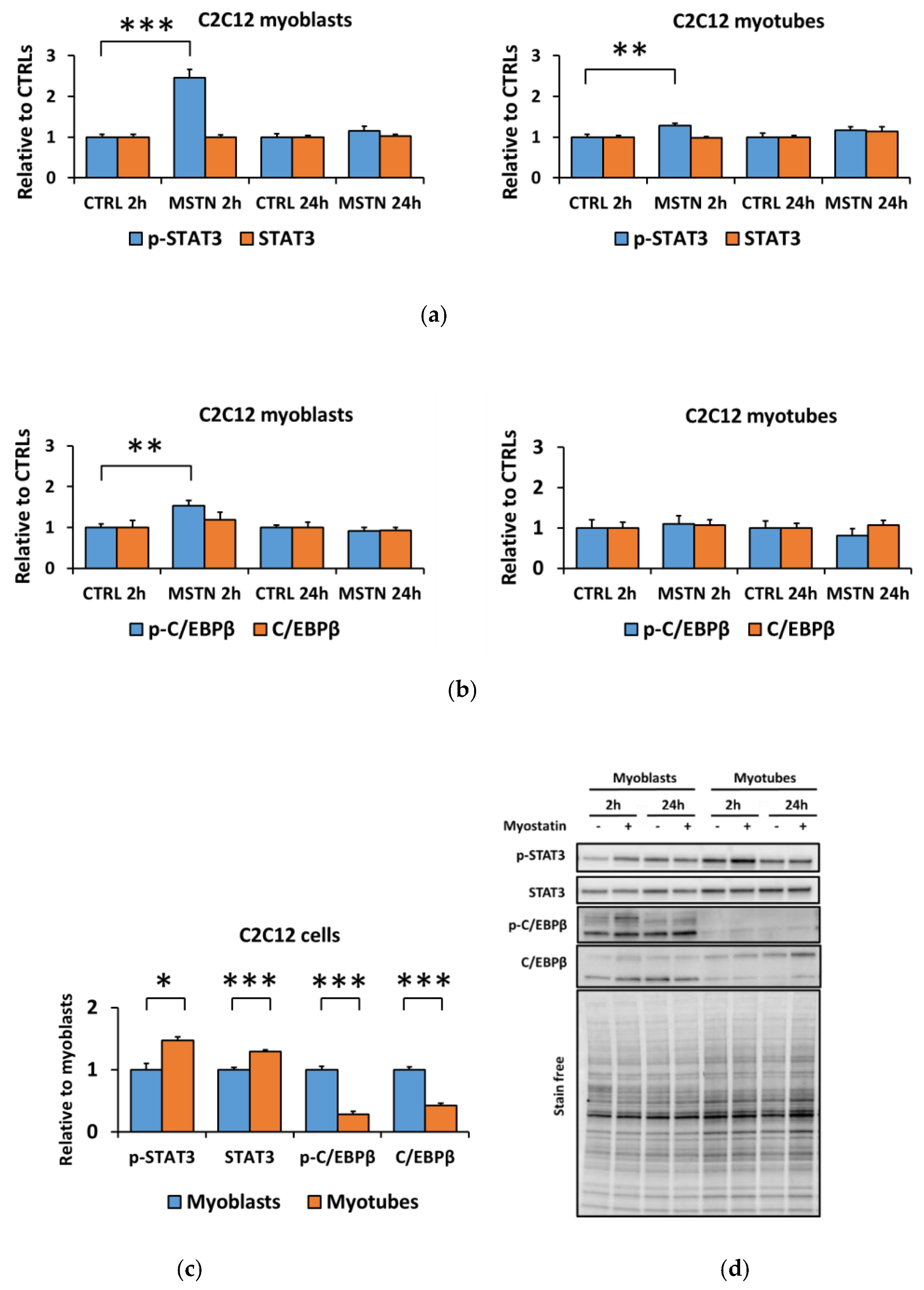 Biomolecules 10 00695 g002