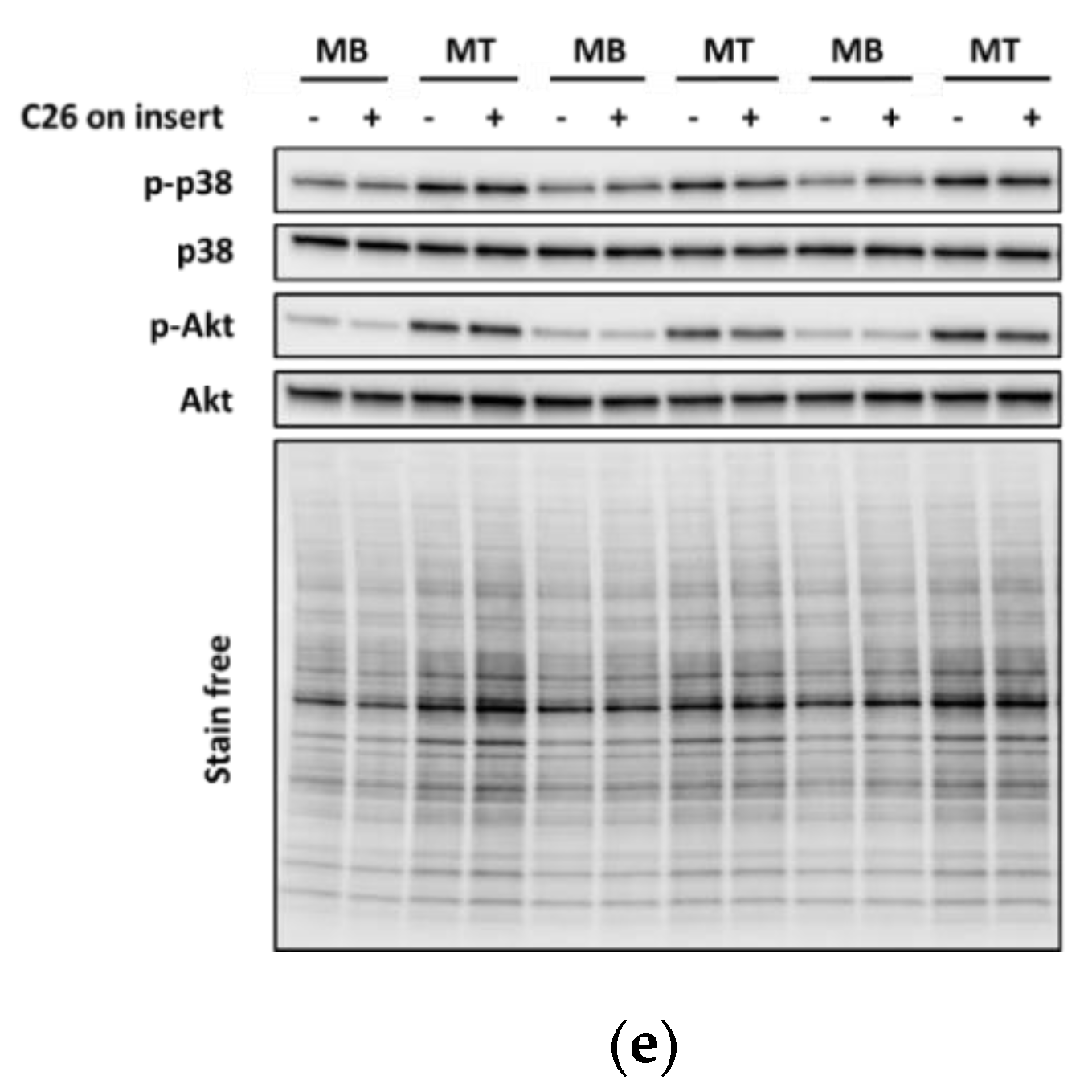 Biomolecules 10 00695 g003b
