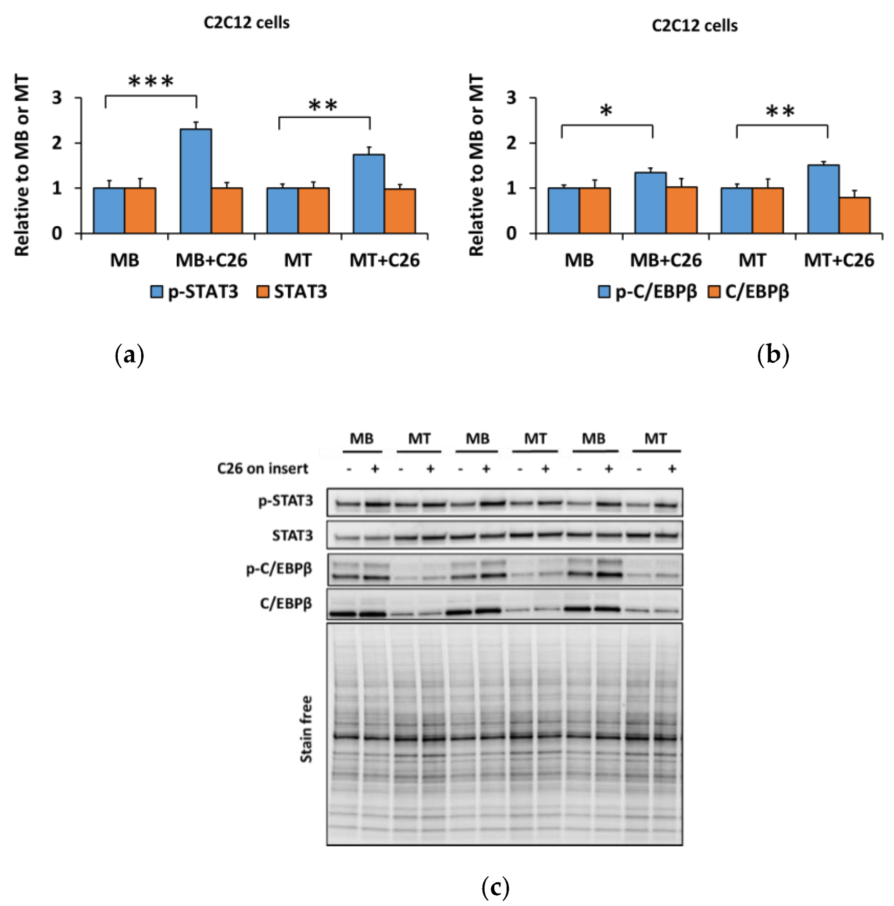 Biomolecules 10 00695 g004