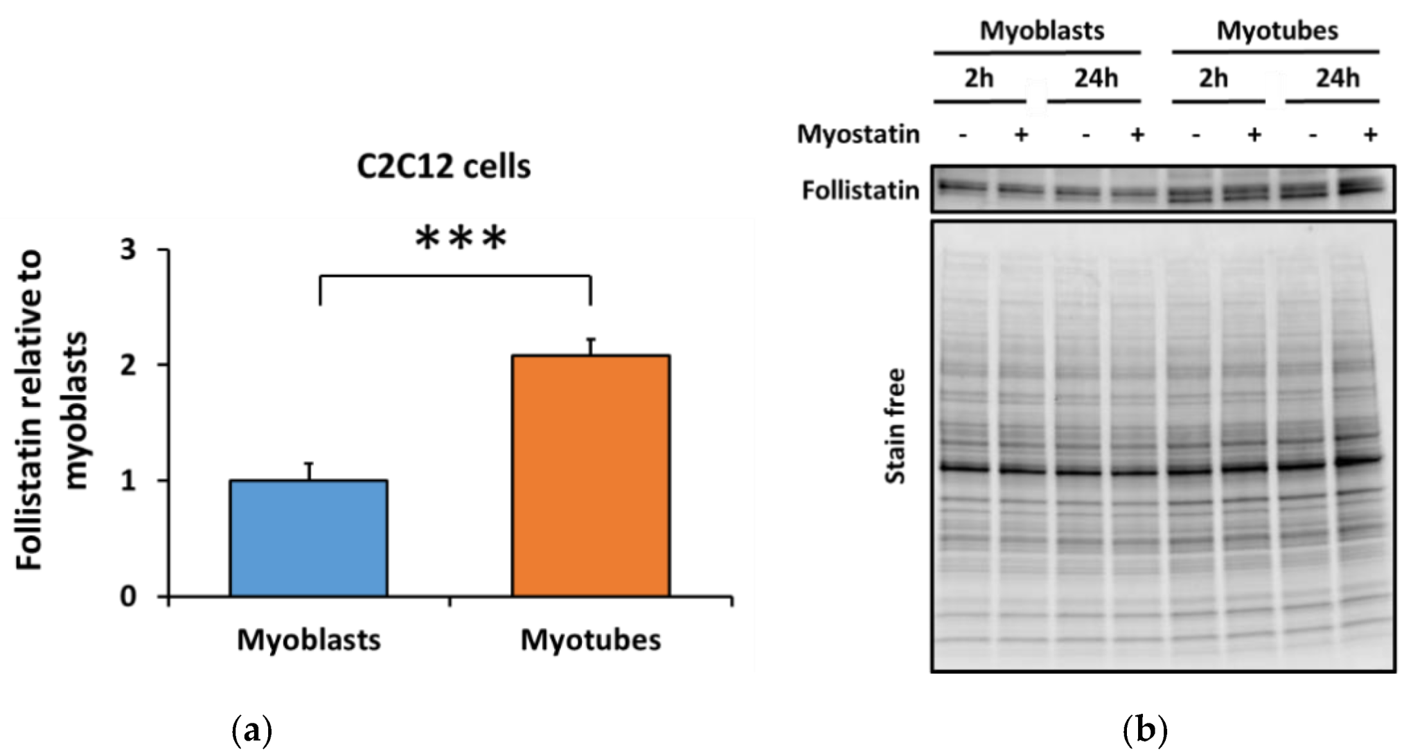 Biomolecules 10 00695 g006