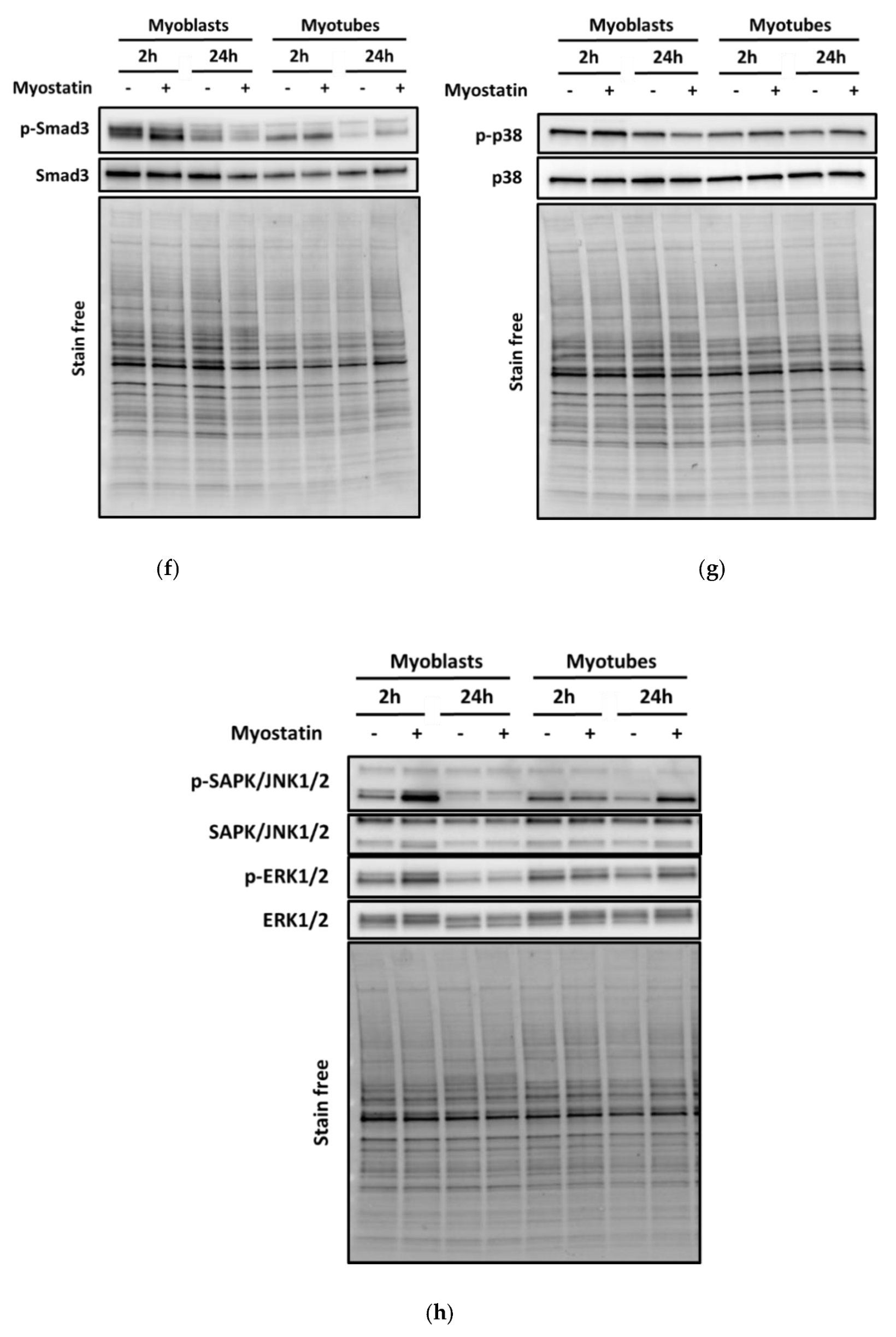 Biomolecules 10 00695 g007c