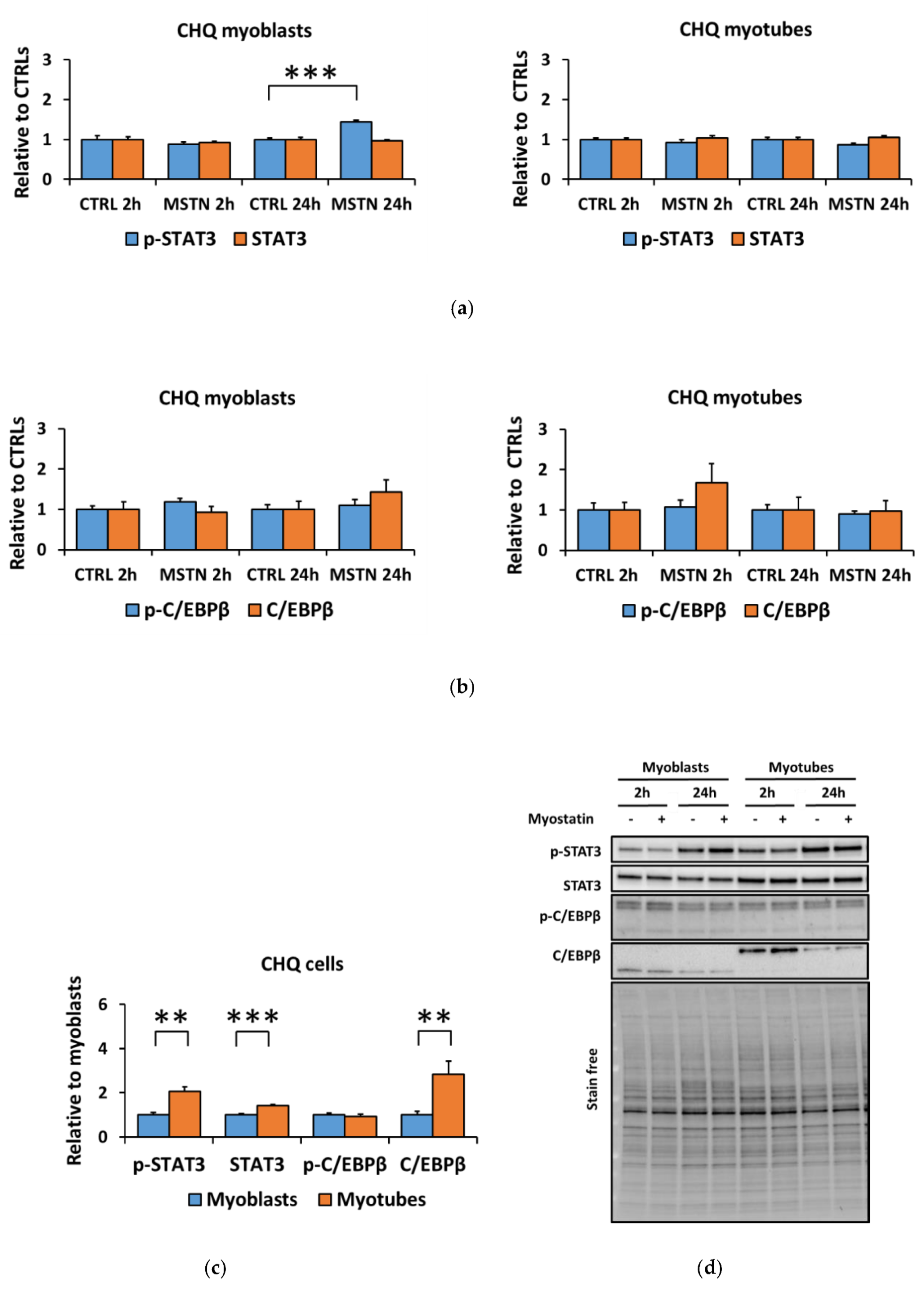 Biomolecules 10 00695 g008