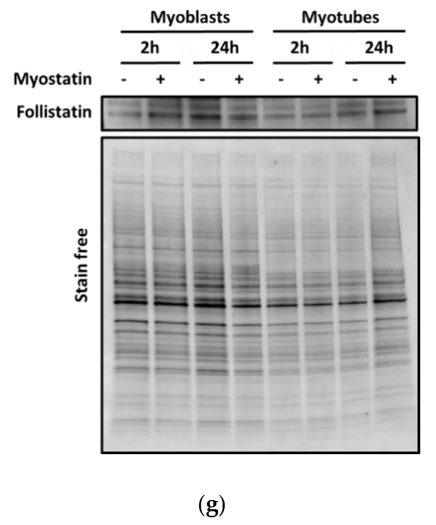 Biomolecules 10 00695 g009b