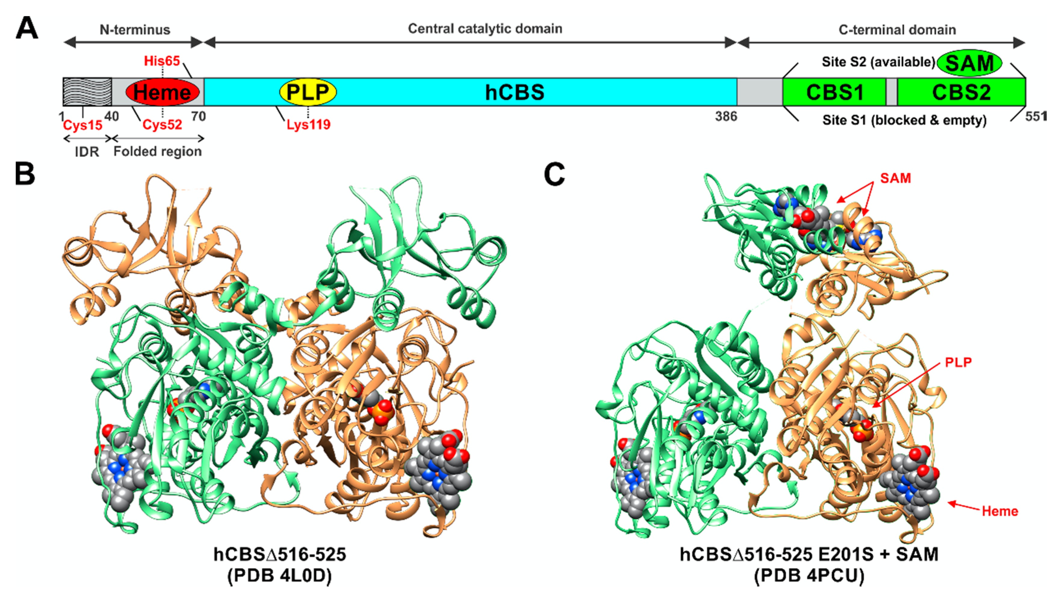 Biomolecules 10 00697 g002