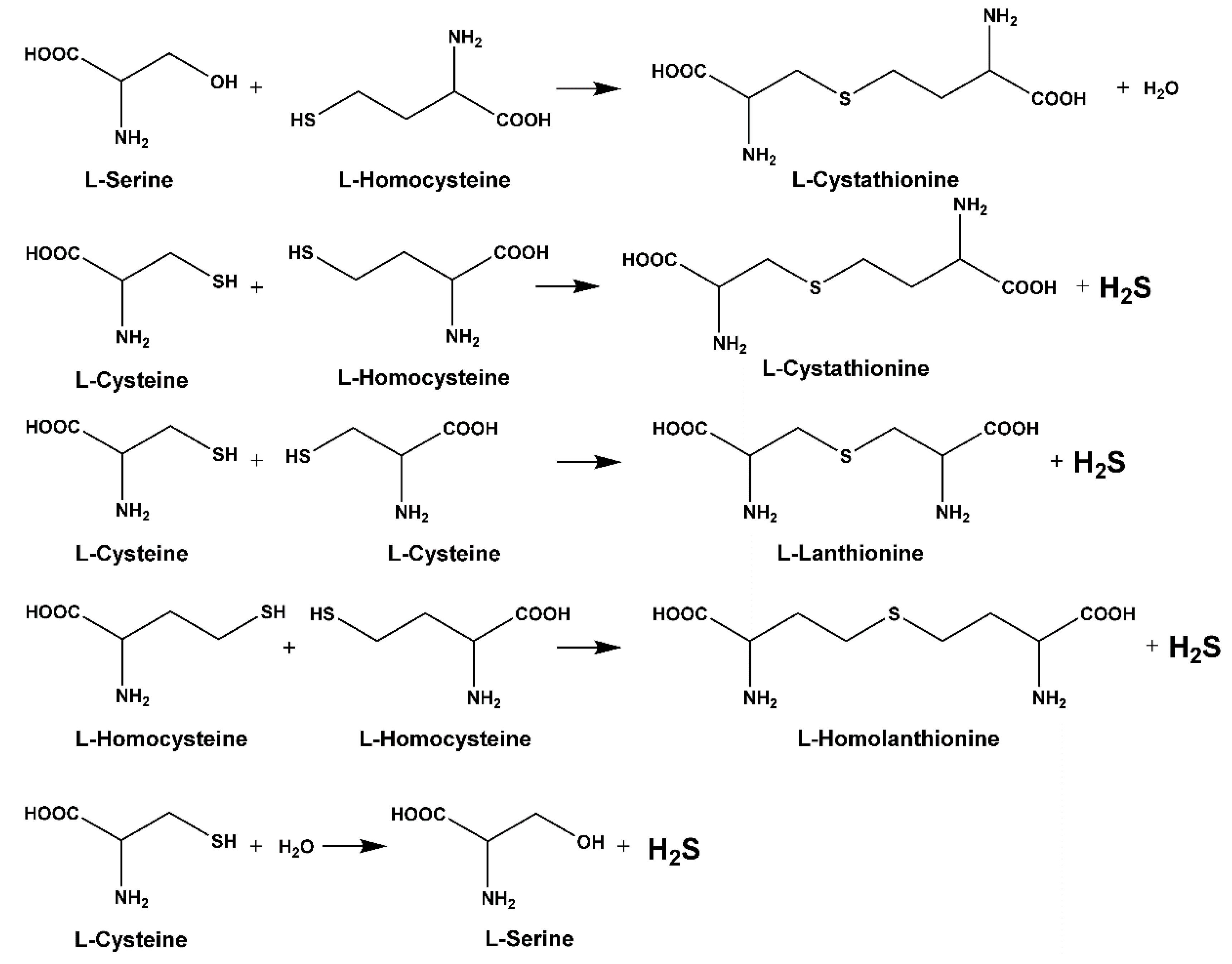 Biomolecules 10 00697 g006