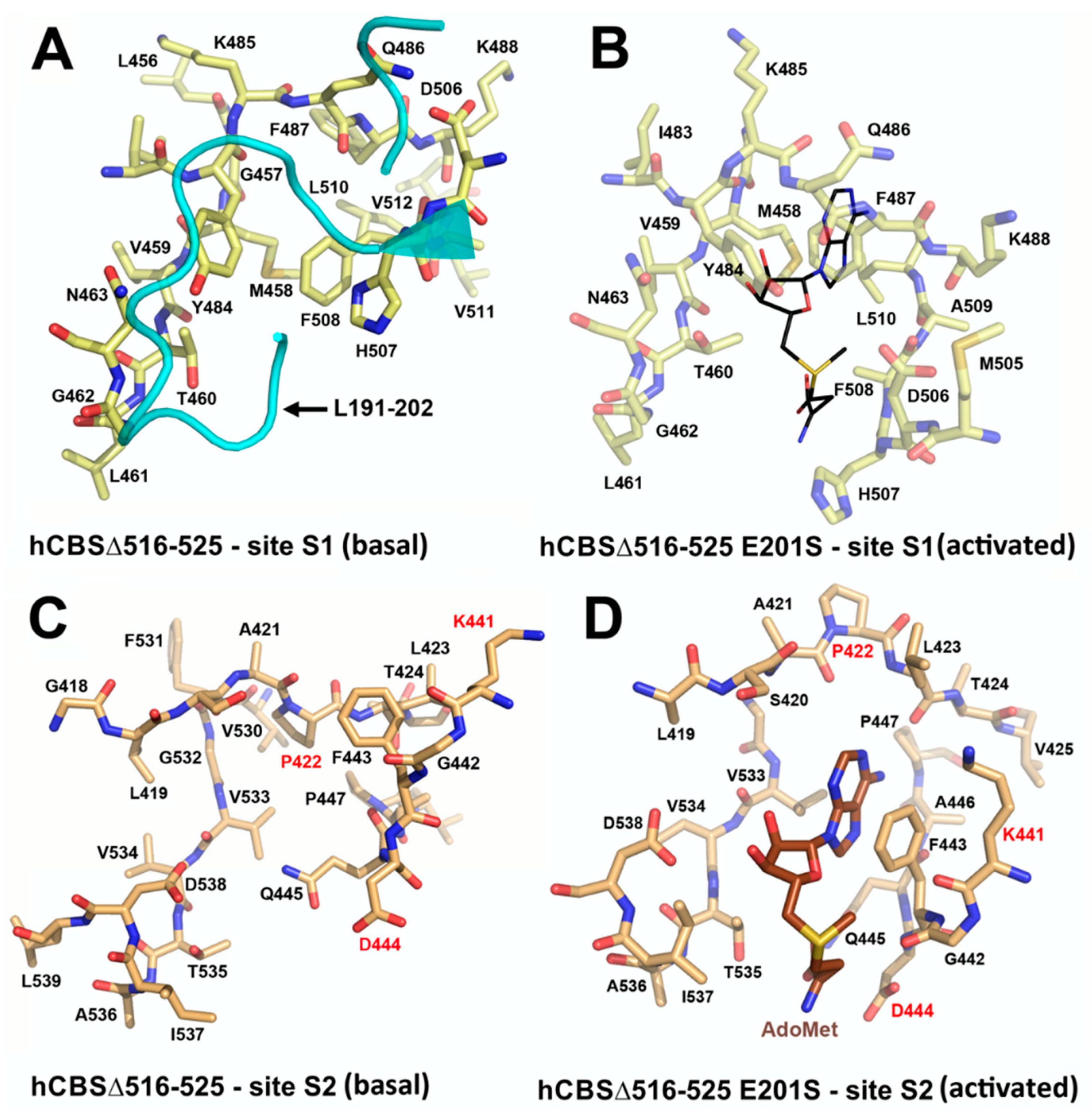 Biomolecules 10 00697 g007