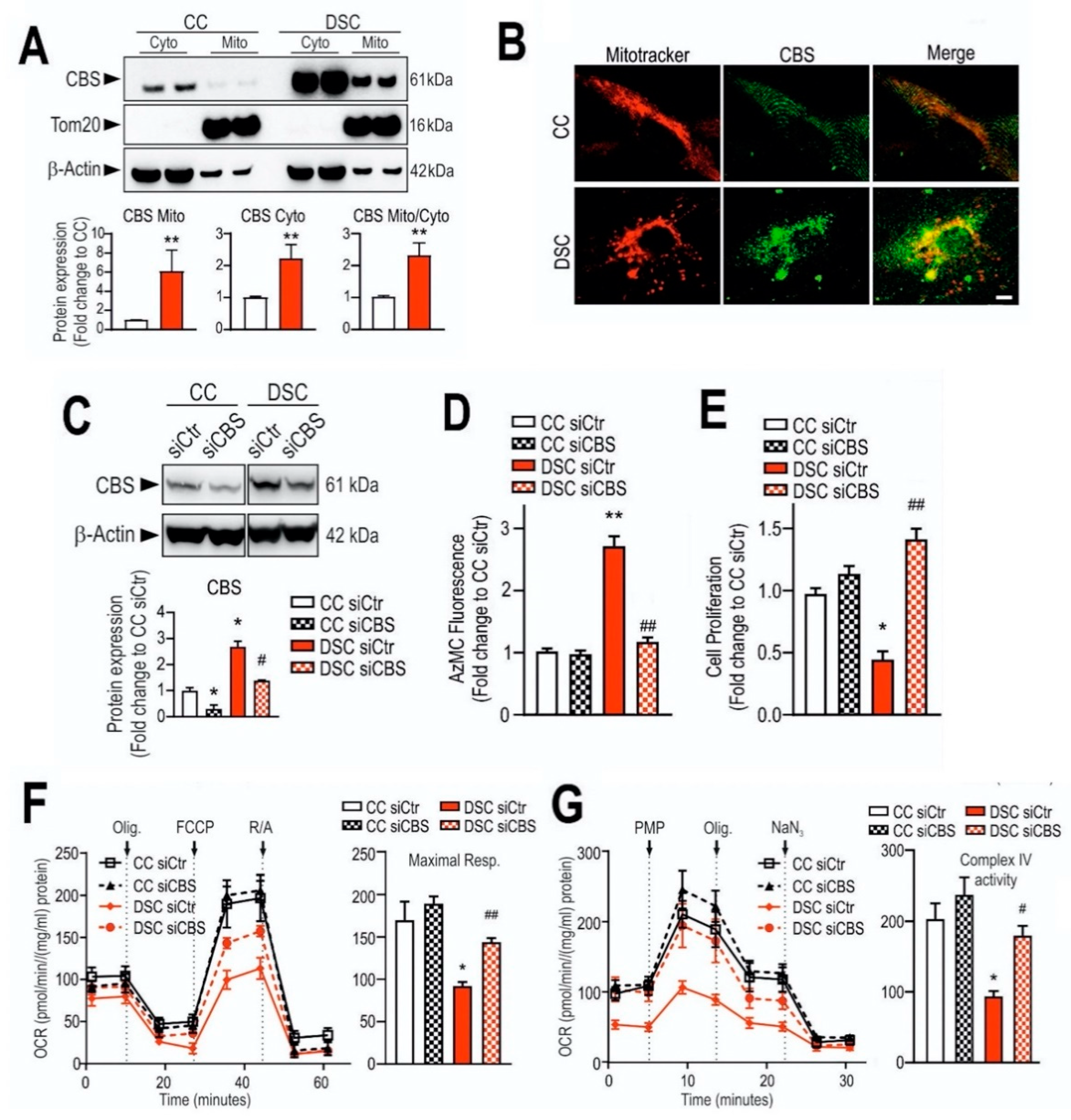 Biomolecules 10 00697 g009