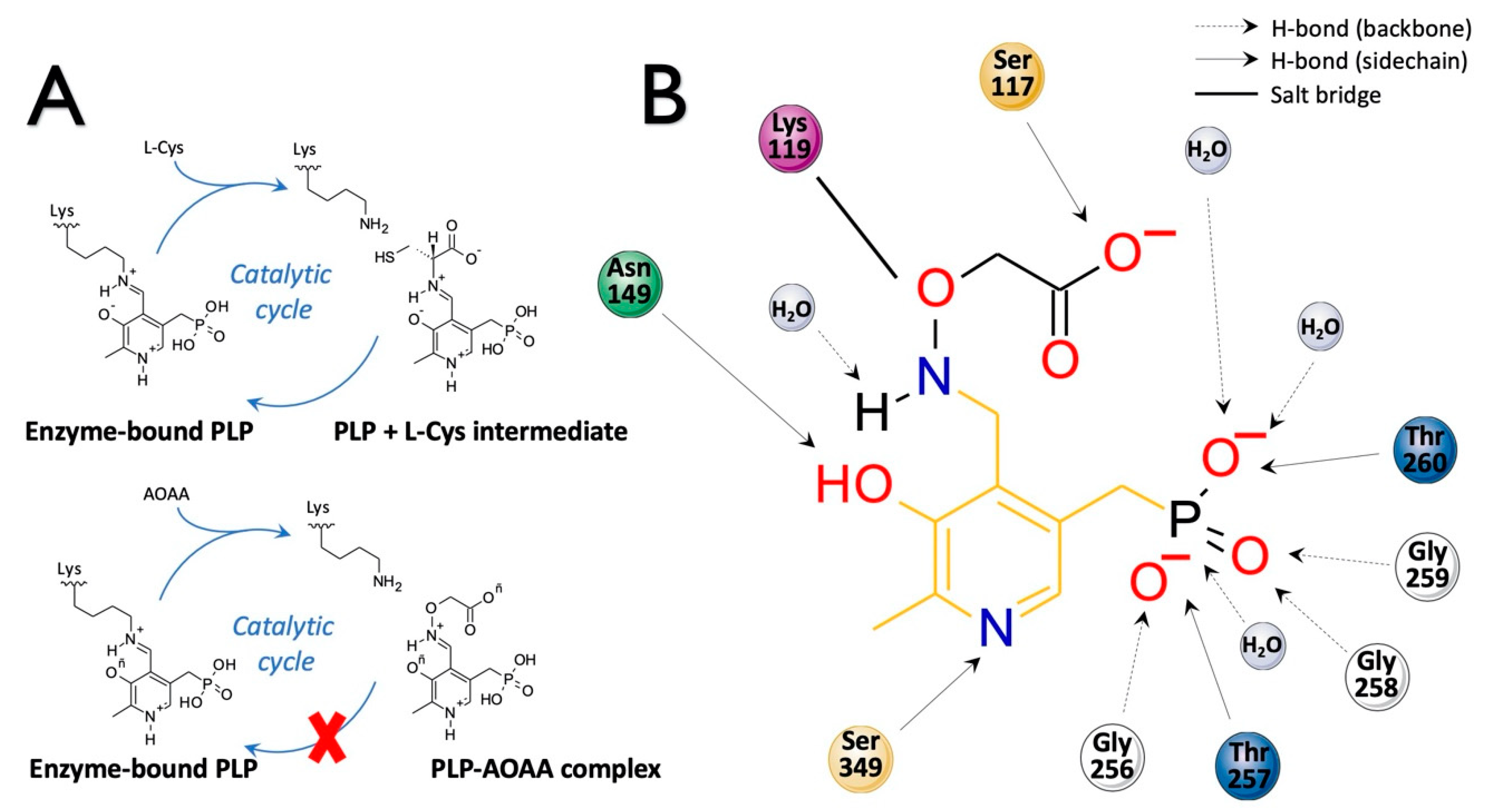 Biomolecules 10 00697 g011