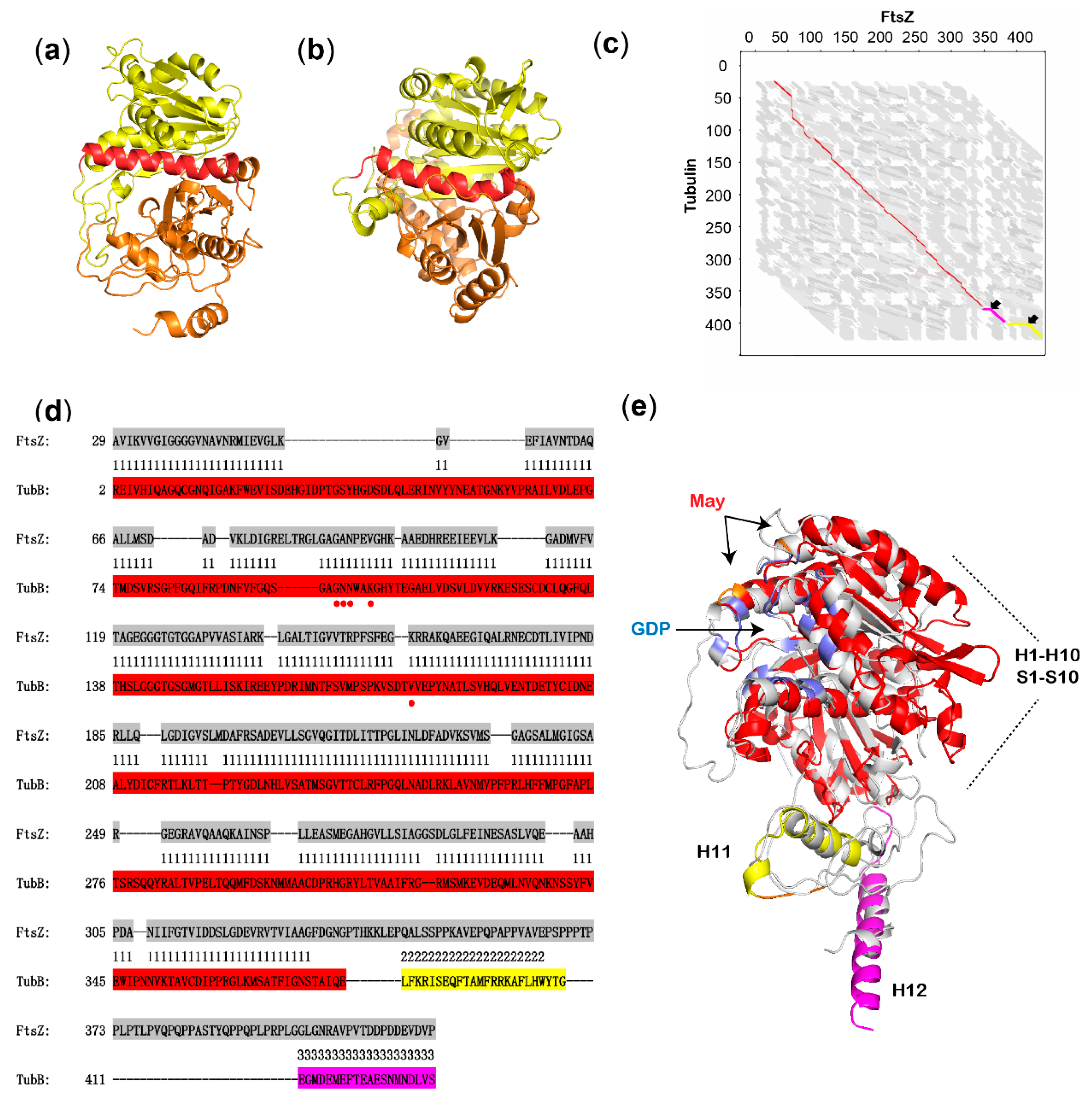Biomolecules 10 00699 g002 Biomolecules 10 00699 g002