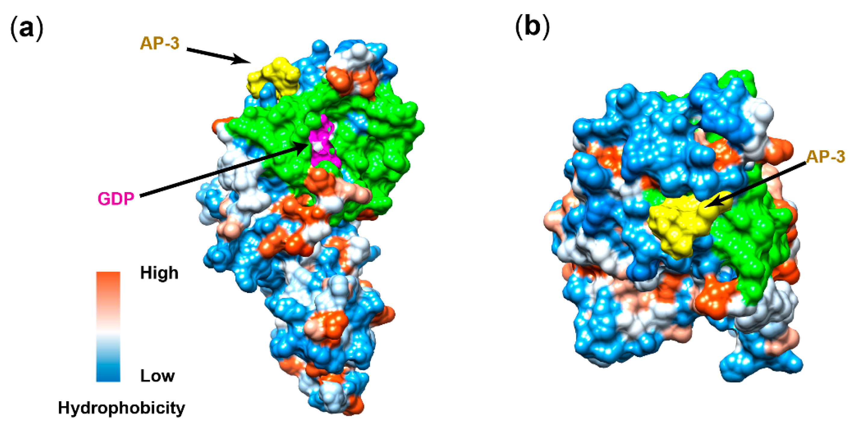 Biomolecules 10 00699 g004a Biomolecules 10 00699 g004a